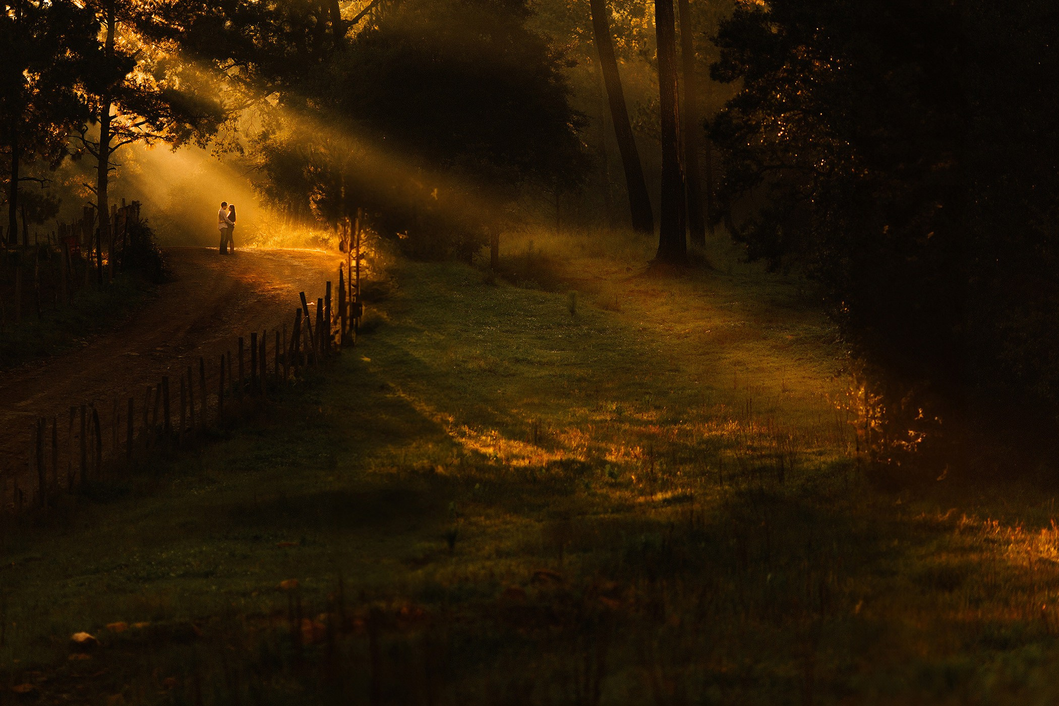 Galería Casual. Jorge Romero Fotógrafo de bodas