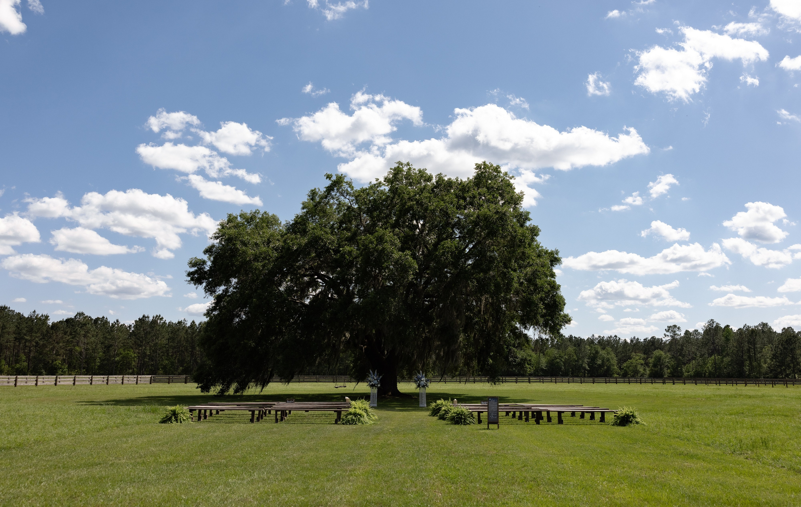 Haley and Will. Photographer Anastasia Nagibina