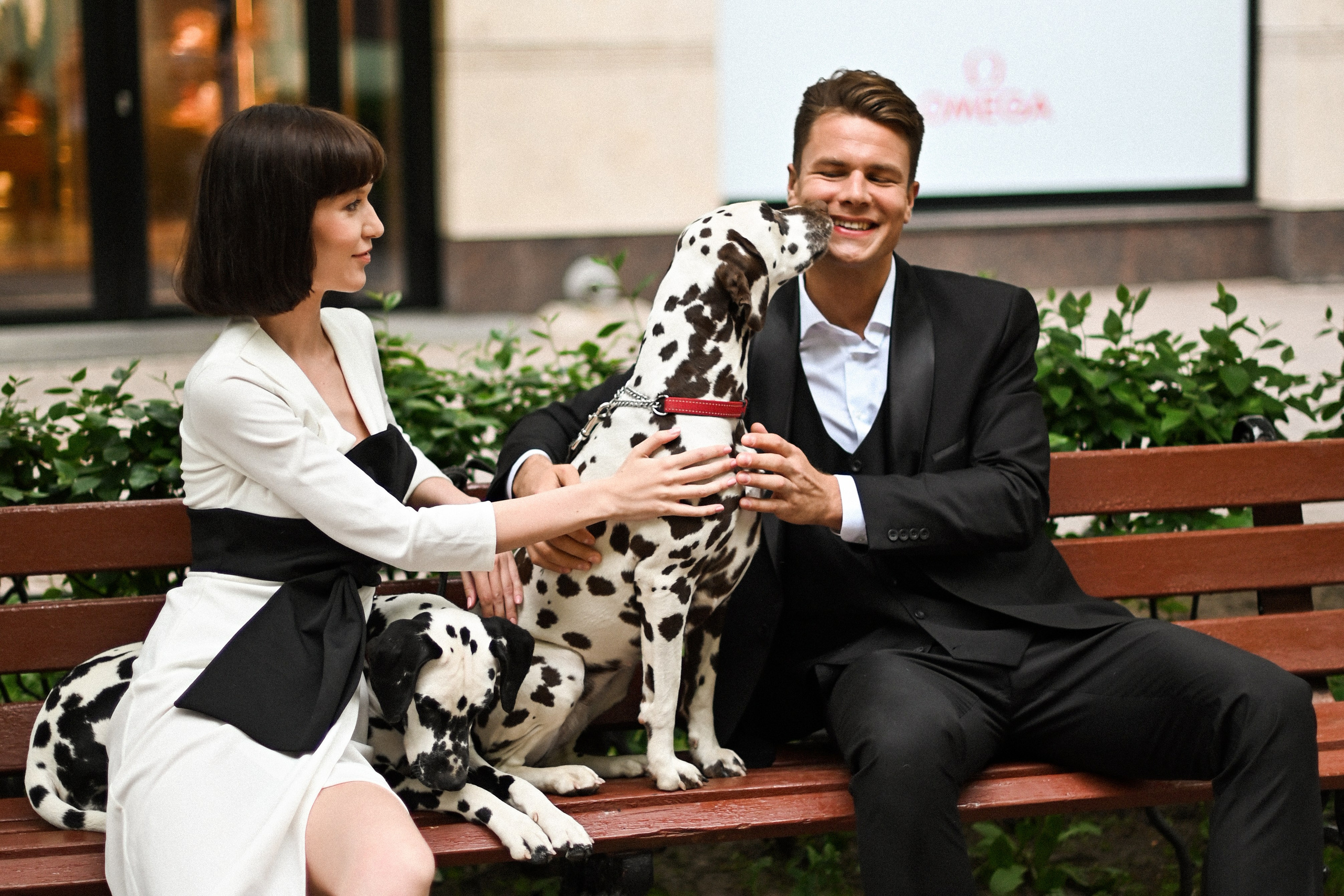 История с далматинцами. Детский и семейный фотограф в финляндии дина пулкка. контент фотограф