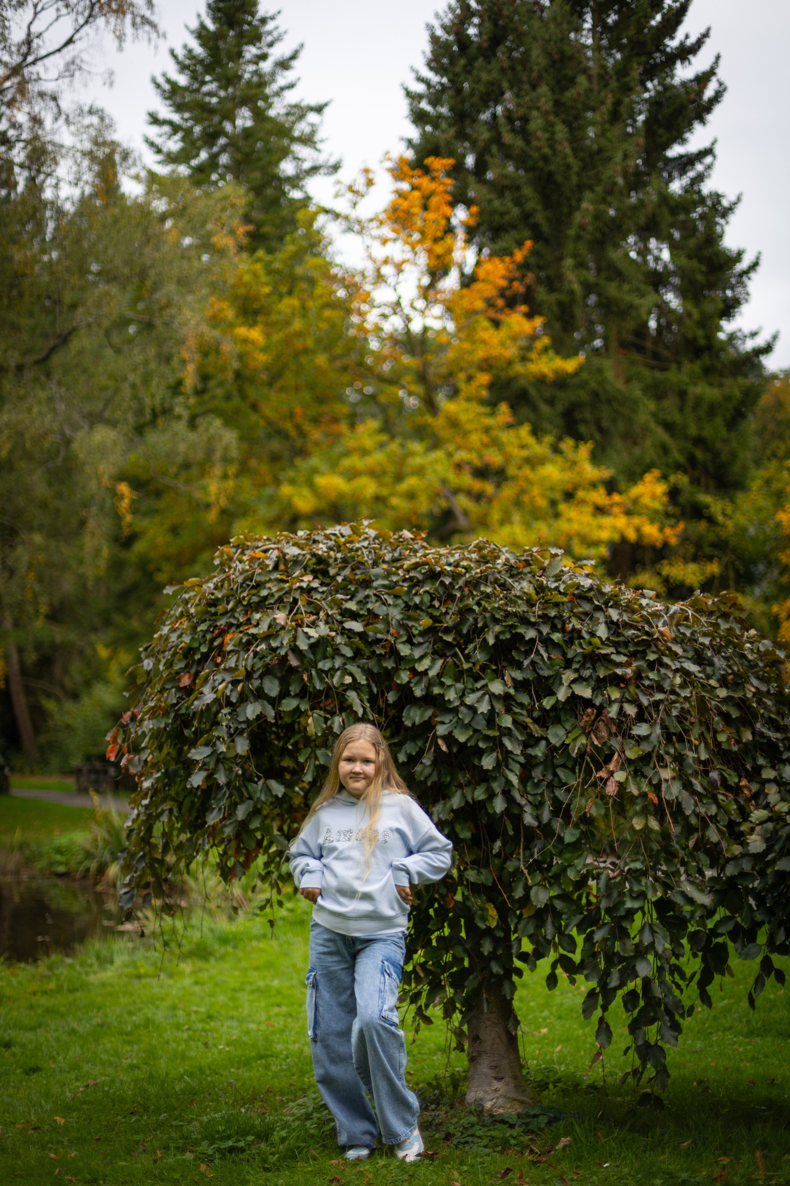 Autumn photos. PHOTOgrapher Germany MARBURG
