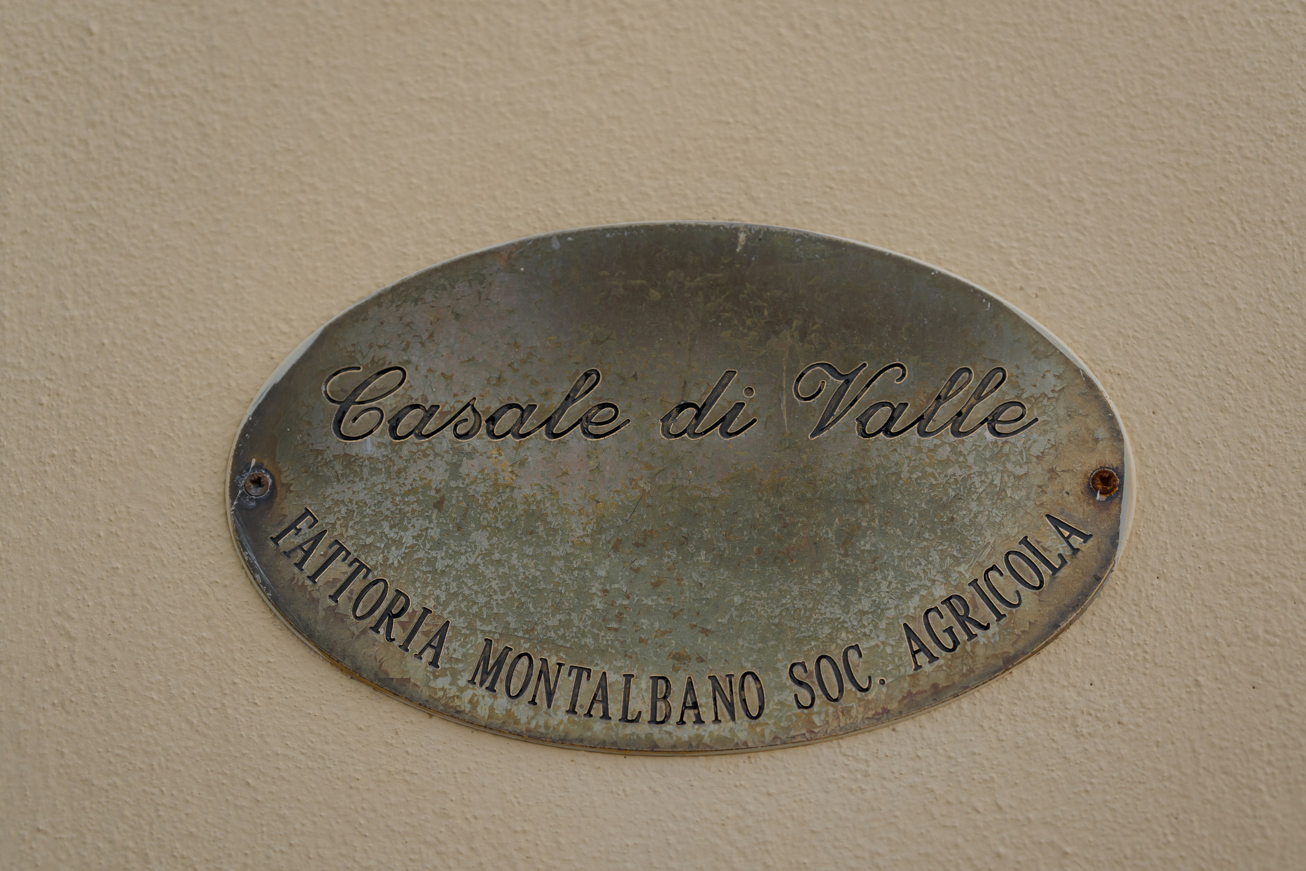 Dom&Ally. Весільний фотограф Вікторія Саврук