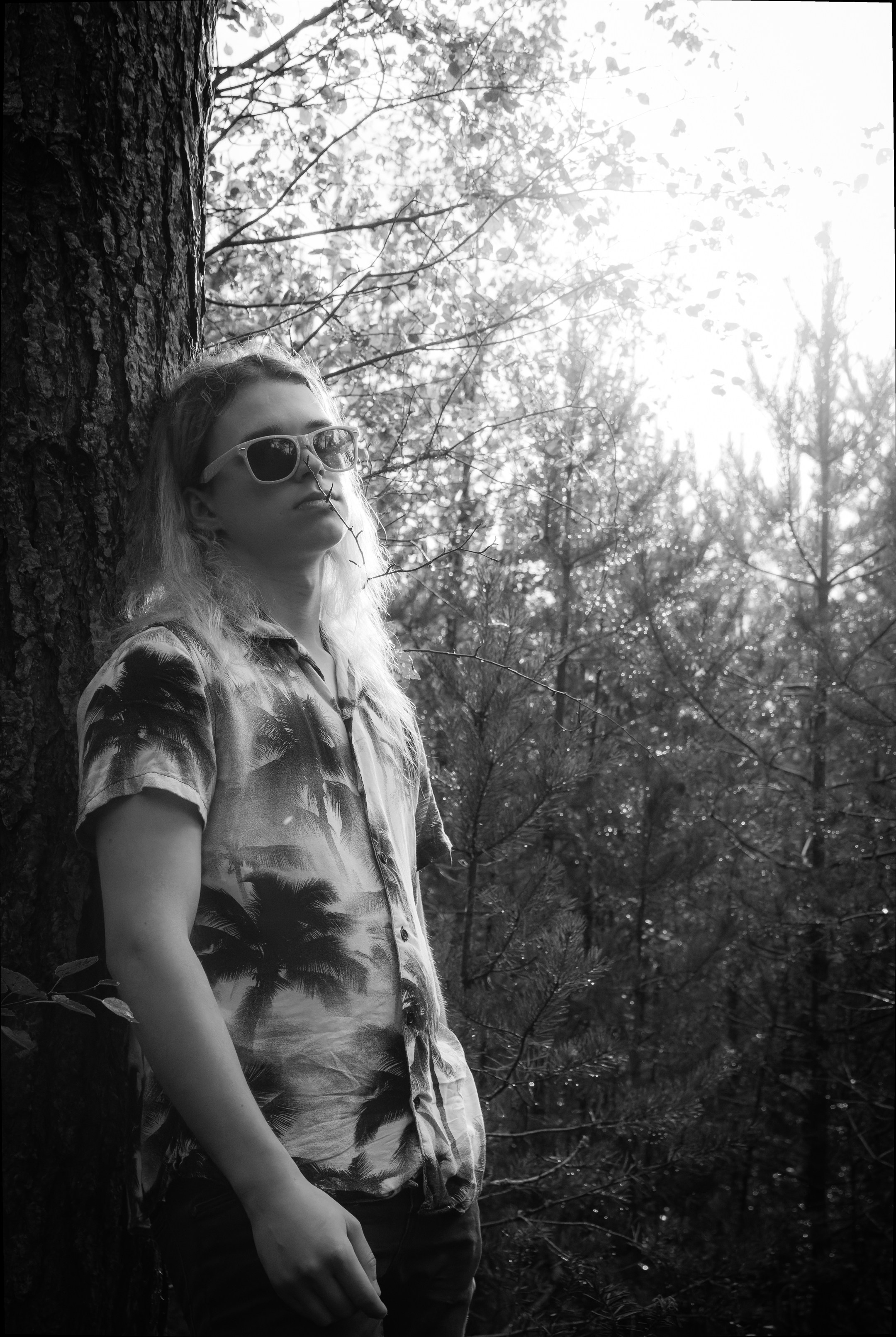 Mets, vihm ja jahedus (Dimitry). Nebula 25 — Fotod teie hingele