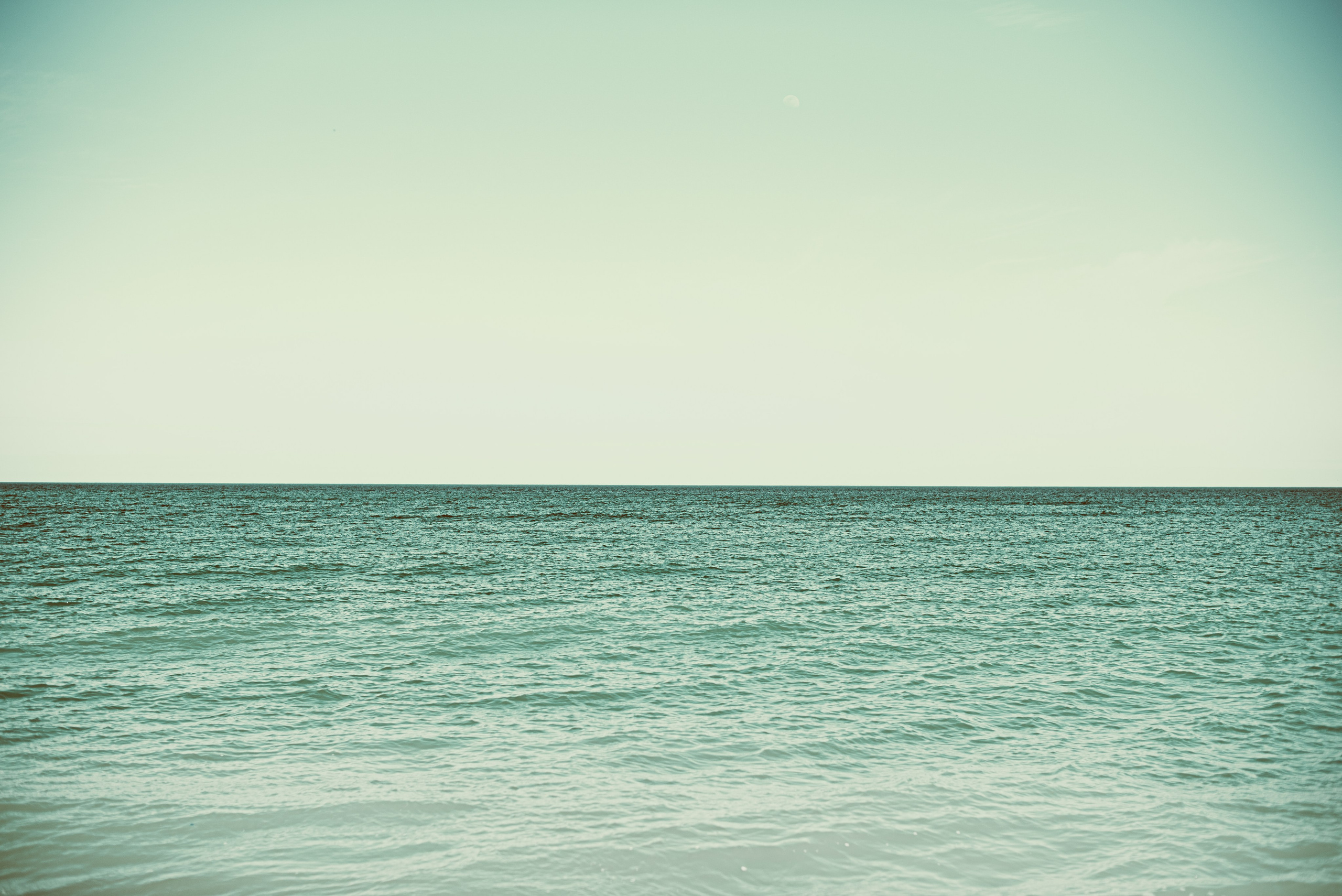 Modern nature. Geany Cazan