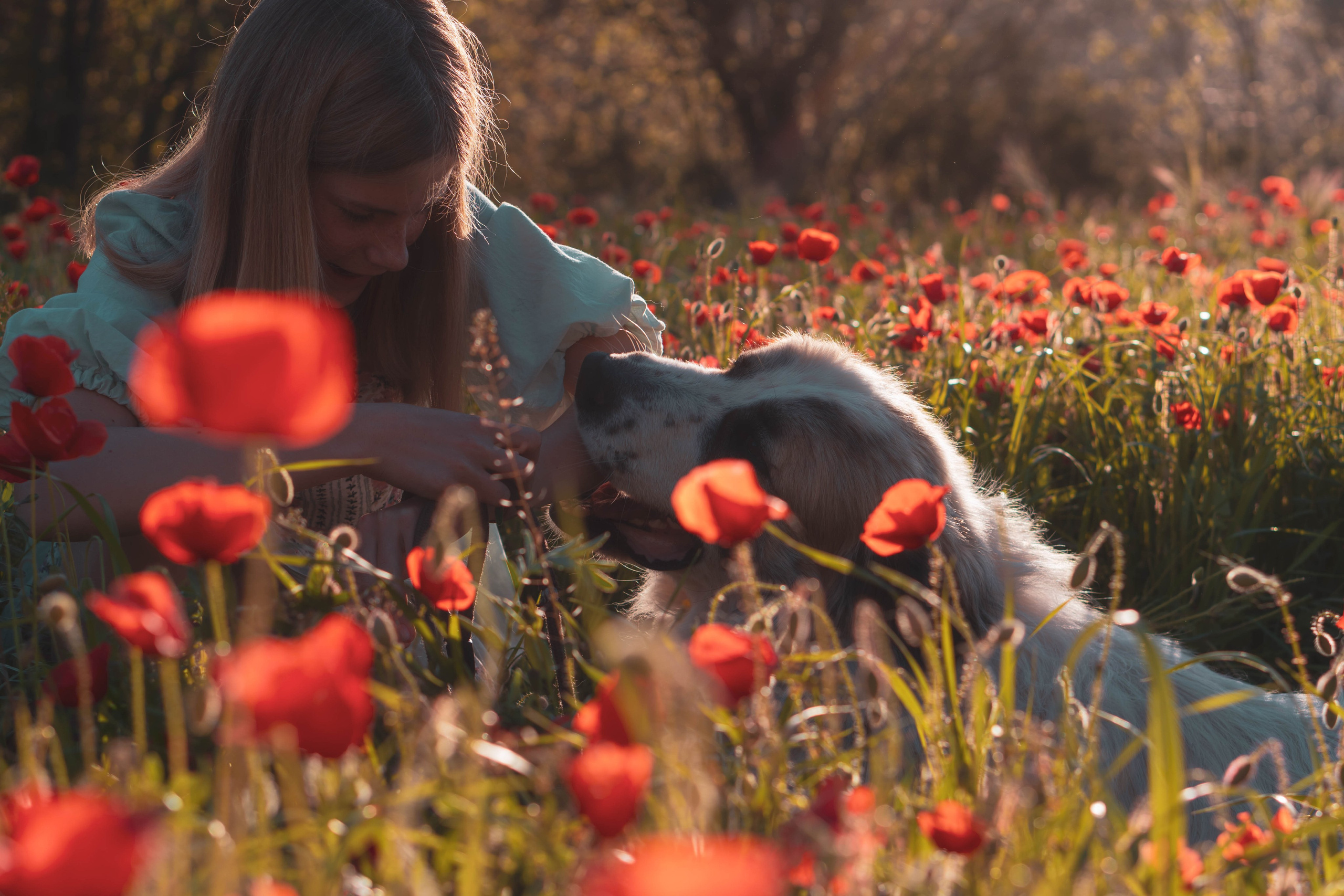 Agnia & Amapolas. Alba del Norte Studio