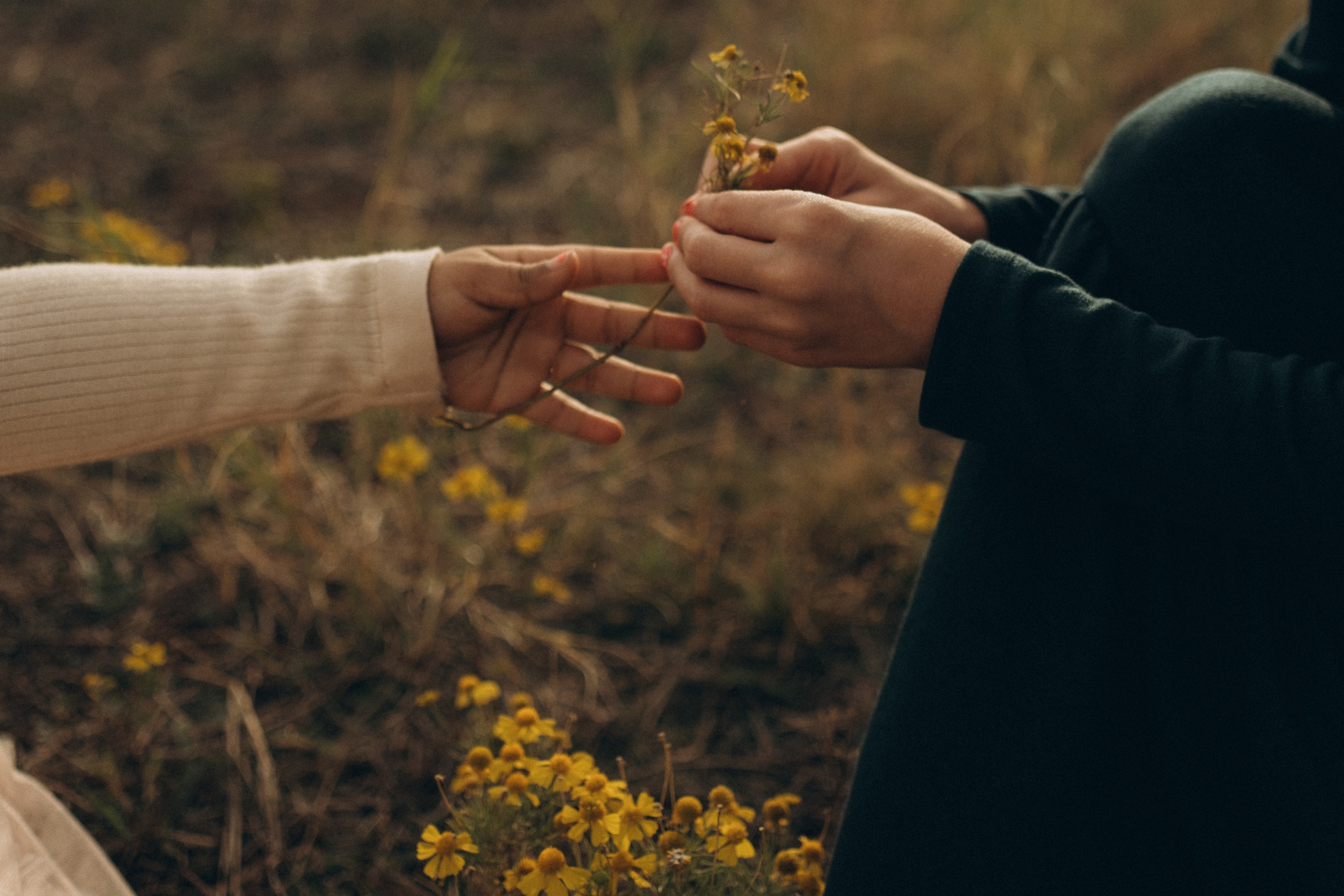 Brushy Creek Lake Park. Lens Captures Life