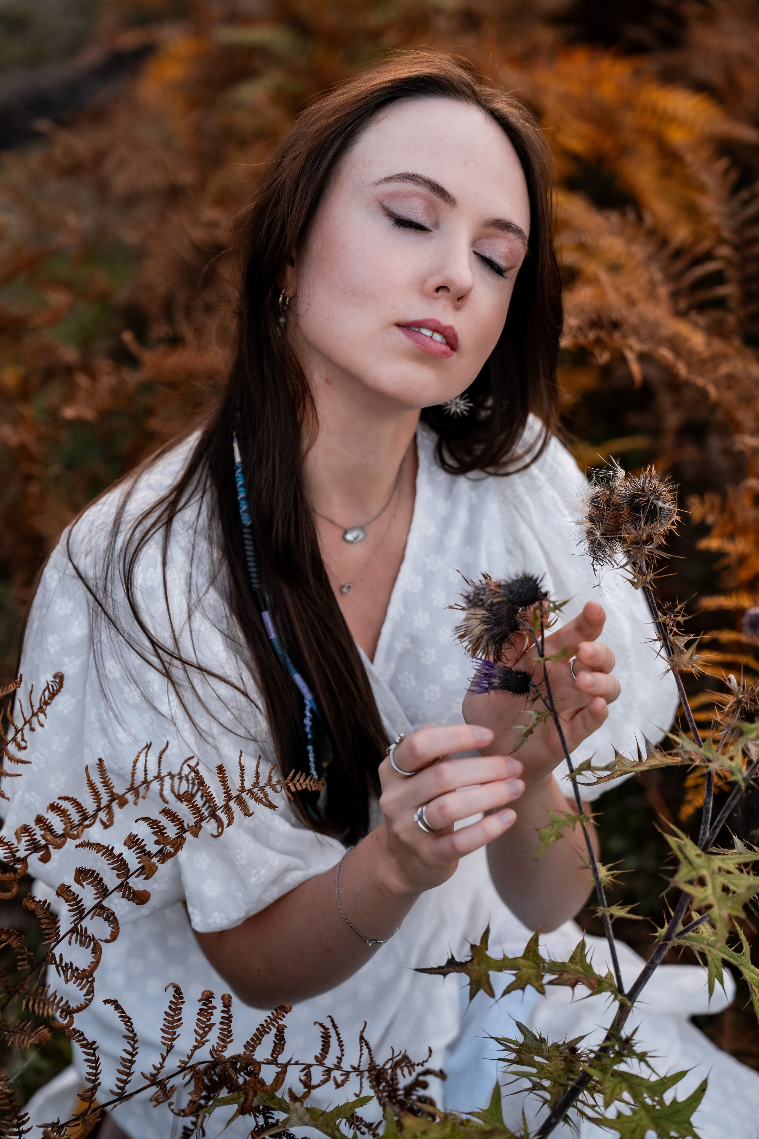 Golden Autumn. Ekaterina Verbitskaya. Photography