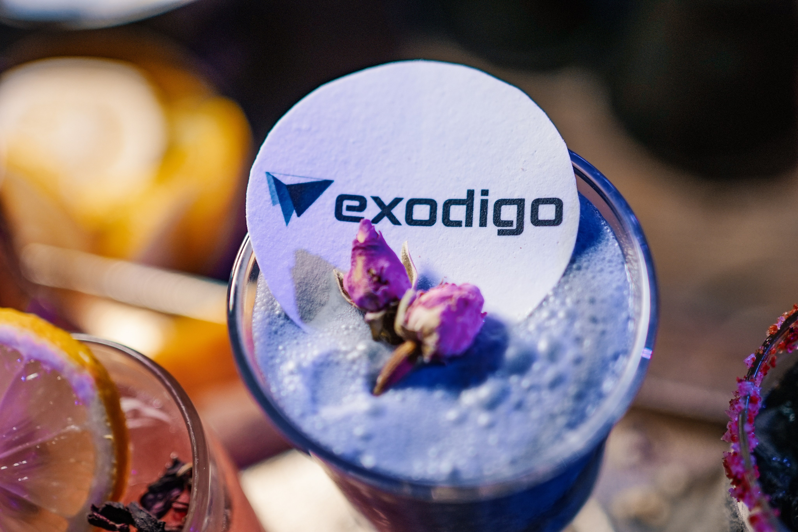 Business. Dmitry Gorodetsky Event Photographer