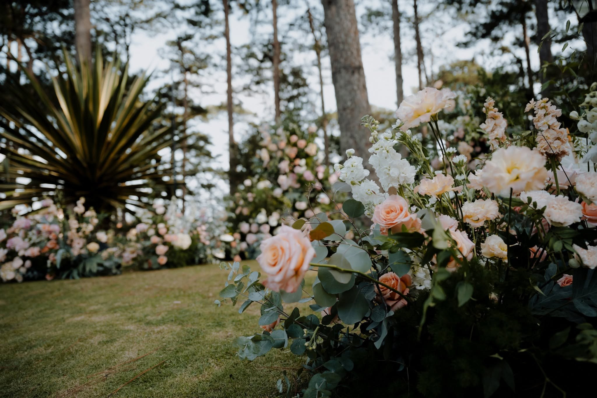 𝐃𝐄𝐍𝐍𝐈𝐒 ⓐⓝⓓ 𝐓𝐈𝐍𝐘/Destination Wedding. Nhiếp ảnh gia đám cưới hàng đầu tại Thành Phố Hồ Chí Minh