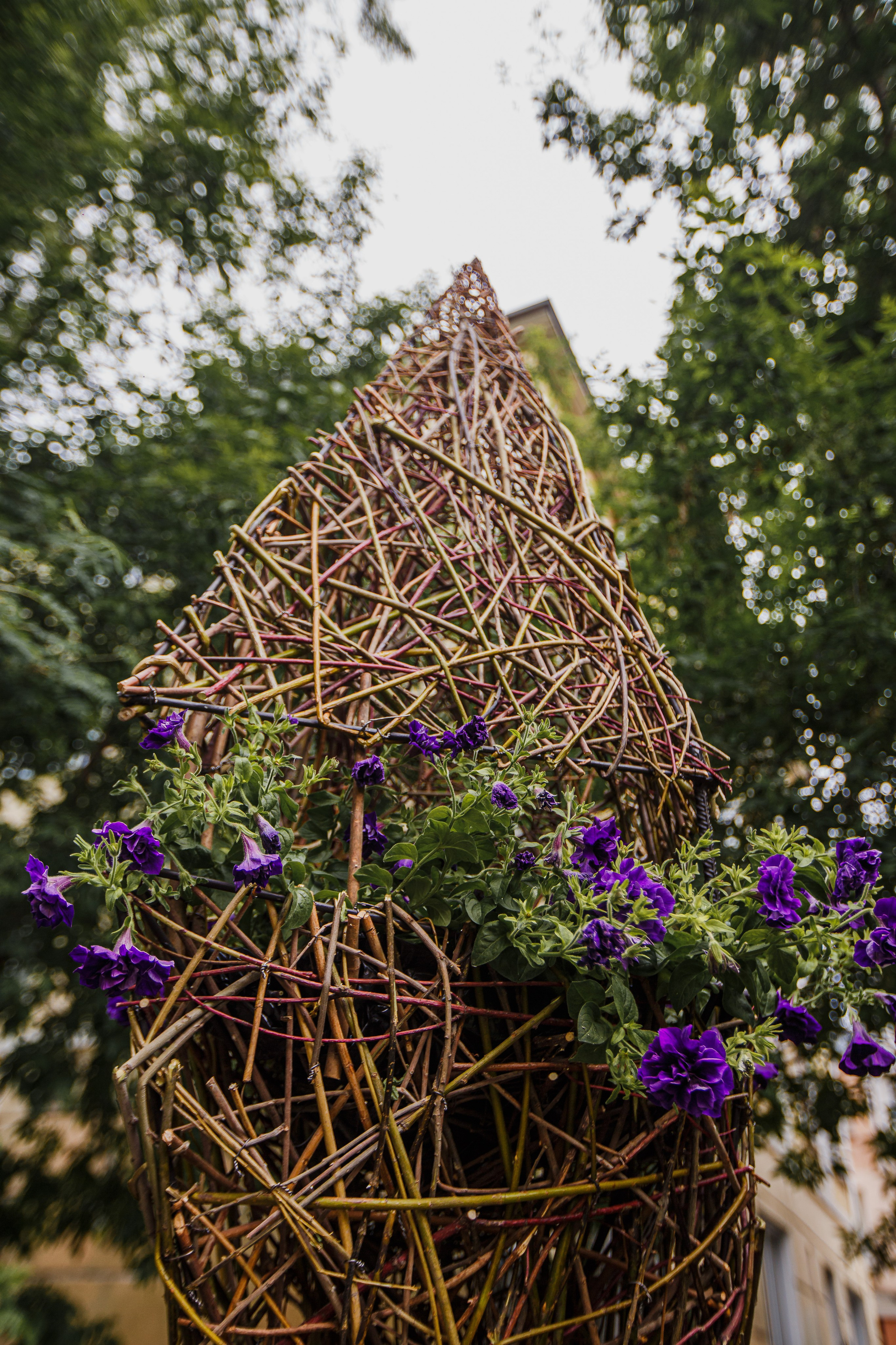 Fotos de ramos de flores. Fotógrafo de retrato, familia y reportajes en Valencia | España | Europa Vitalii Lumier