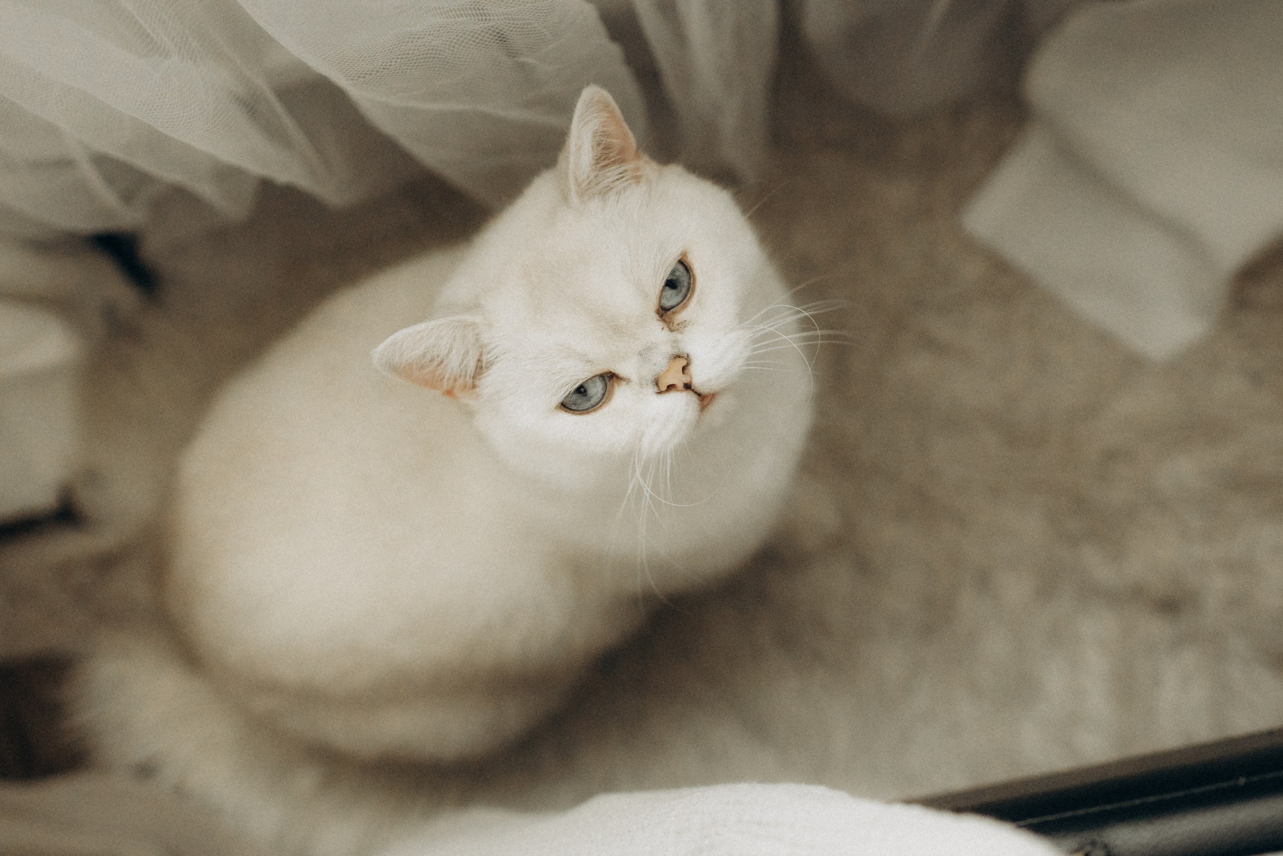 Mother's morning. Julia Sööt Fotografie