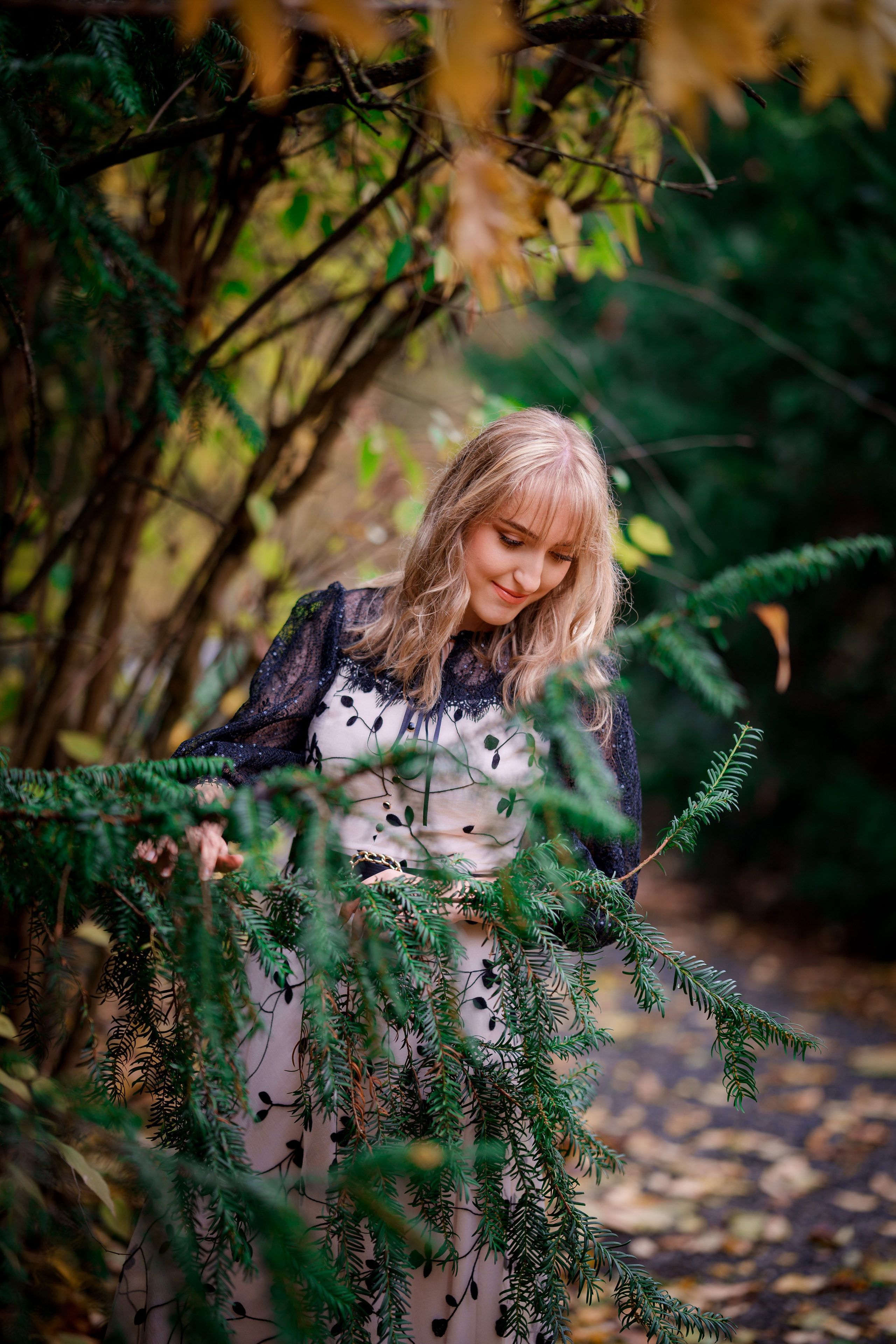 Clasa 12-a. Trendy Albums