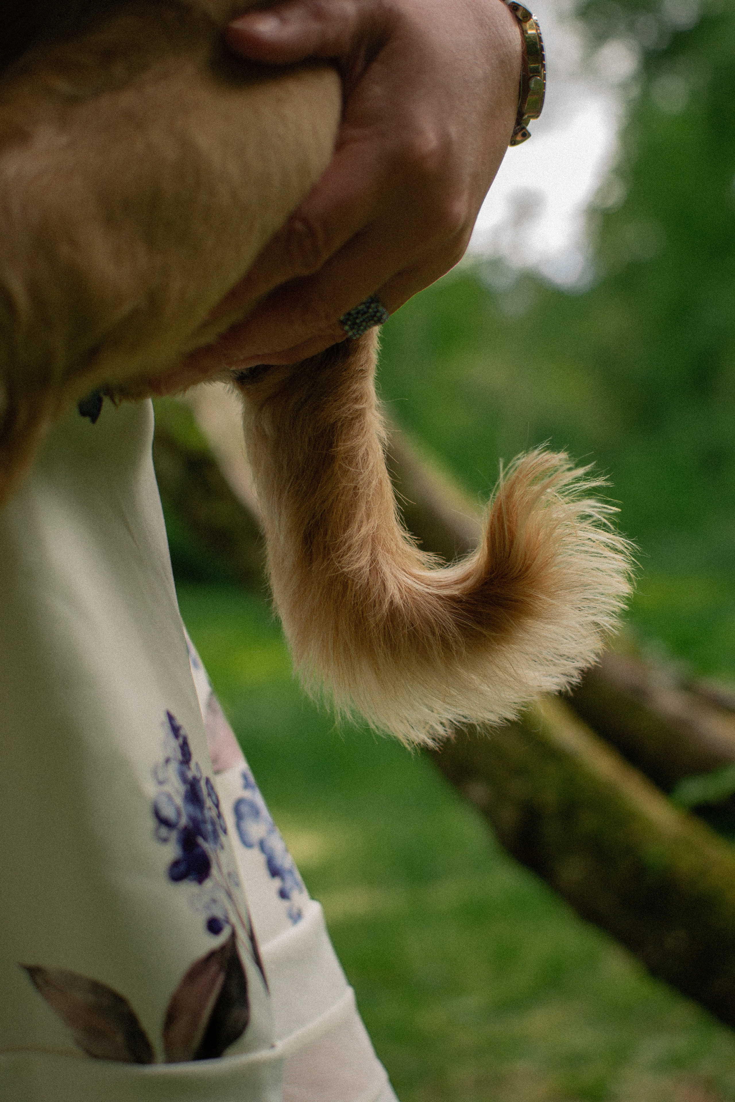 Sandrine et Lolly. Photographe animalier à Paris Anna Pereira