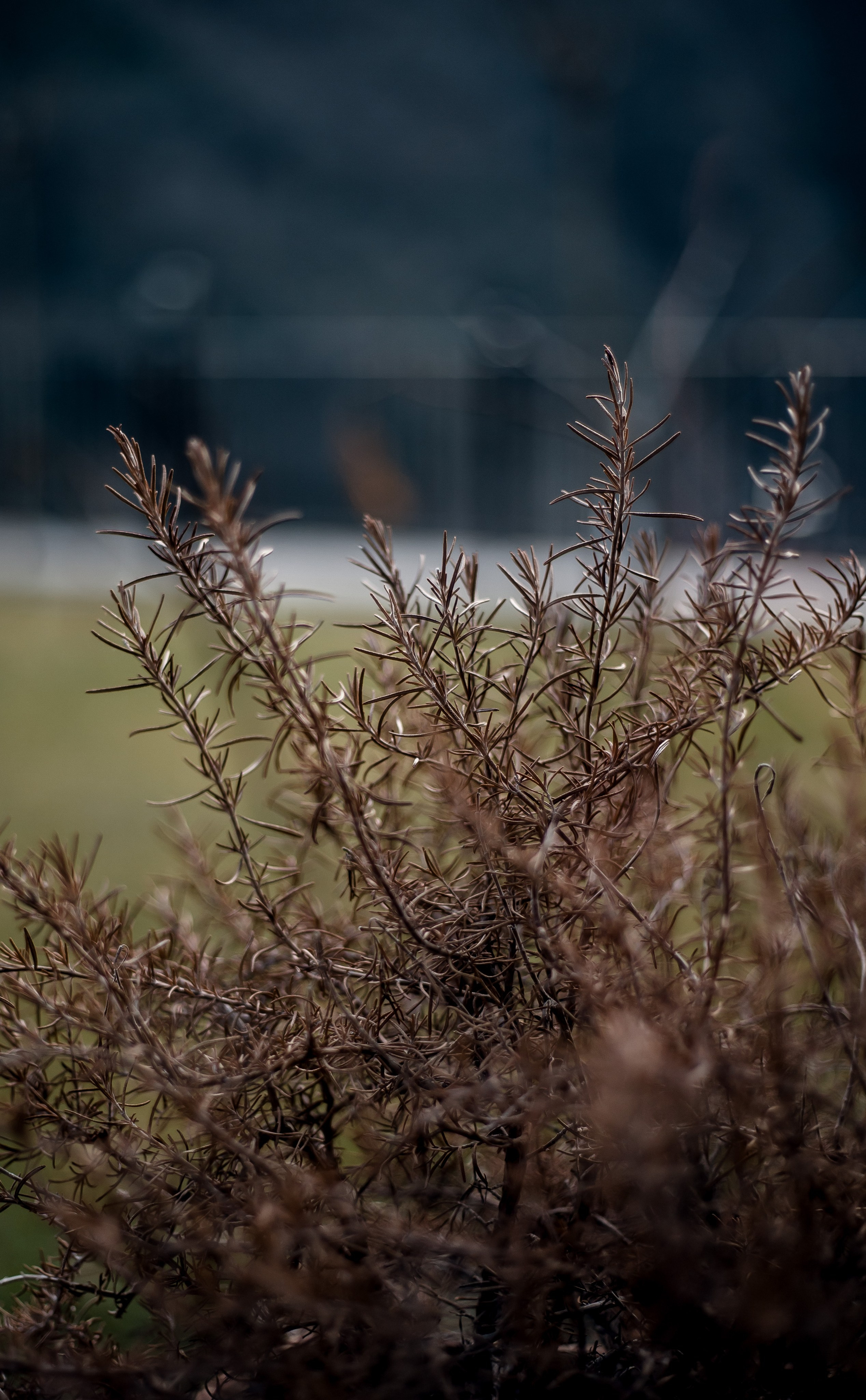 Turkey, Rize. Art Photographer