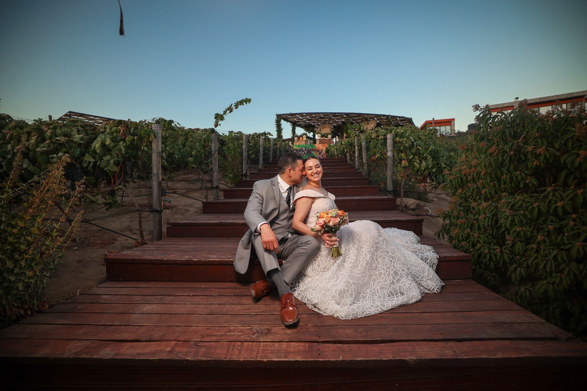Valle de Guadalupe, Siempre Valle Boda Natalia y Carlos. Estudio de fotografia en Tijuana