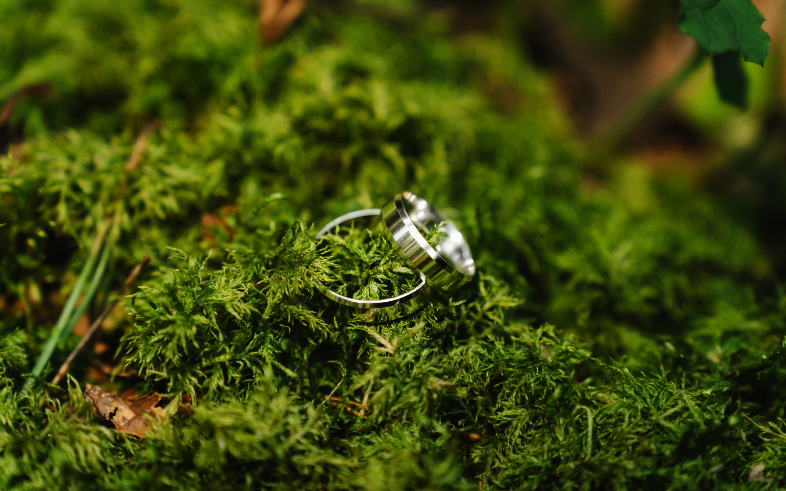 E&S. Montenegro photographer and videographer