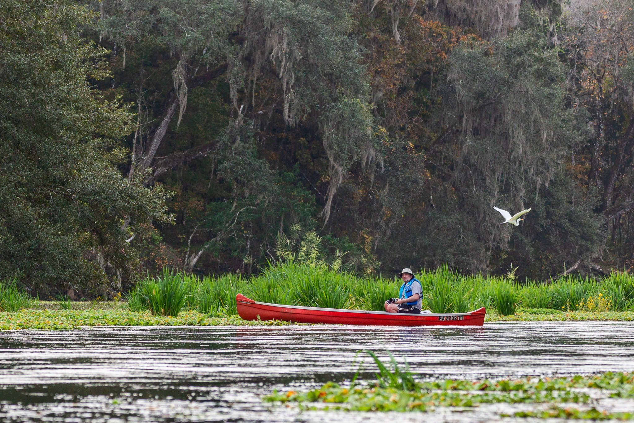 Exploring True Florida: Springs, Rivers & Manatees by Canoe. Pet, Senior, Landscape, portrait studio, photographer in Miami and Sou