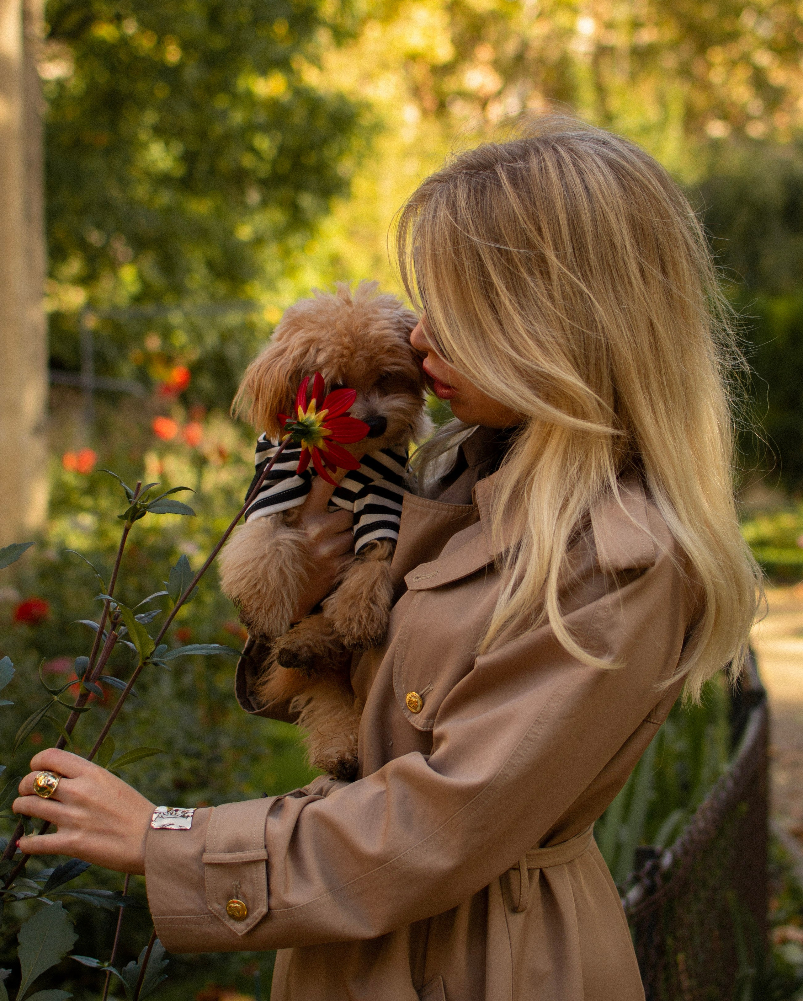 Barney, Nastya et Kolya. Photographe animalier à Paris Anna Pereira