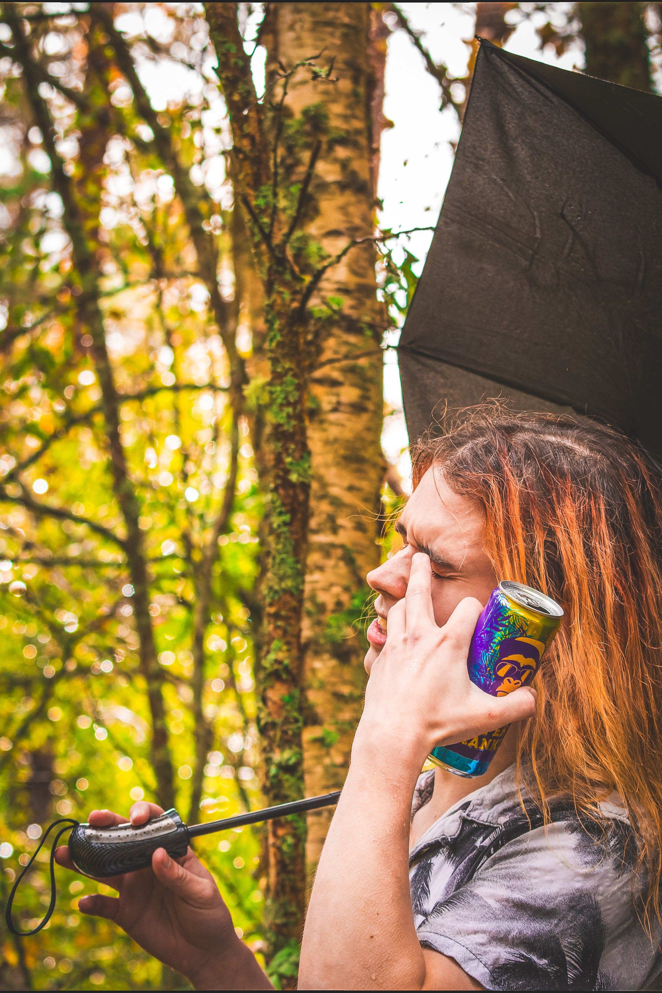 Mets, vihm ja jahedus (Dimitry). Nebula 25 — Fotod teie hingele