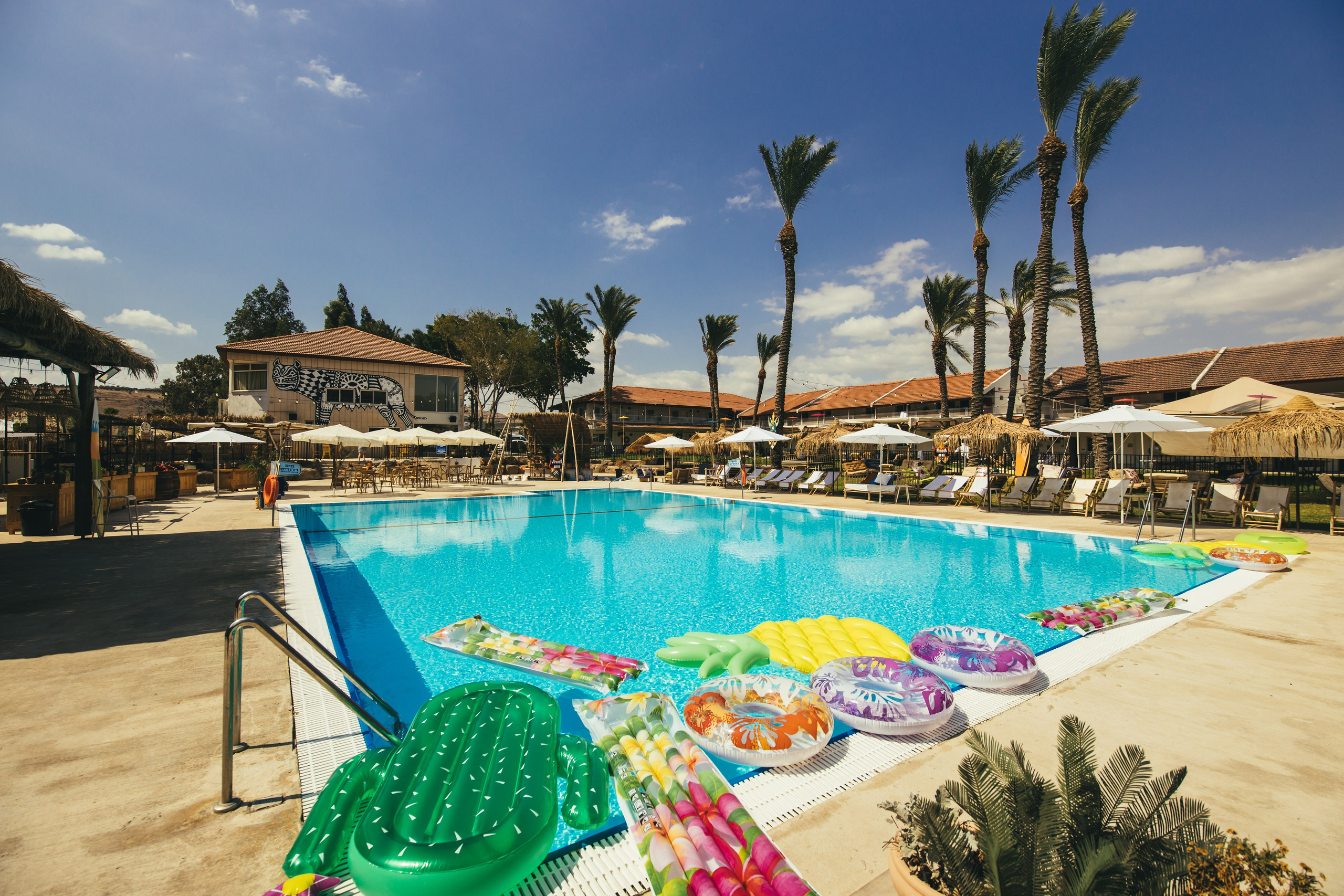 Playtika TIKI TECH. AMIR BUCHNIK PHOTOGRAPHER