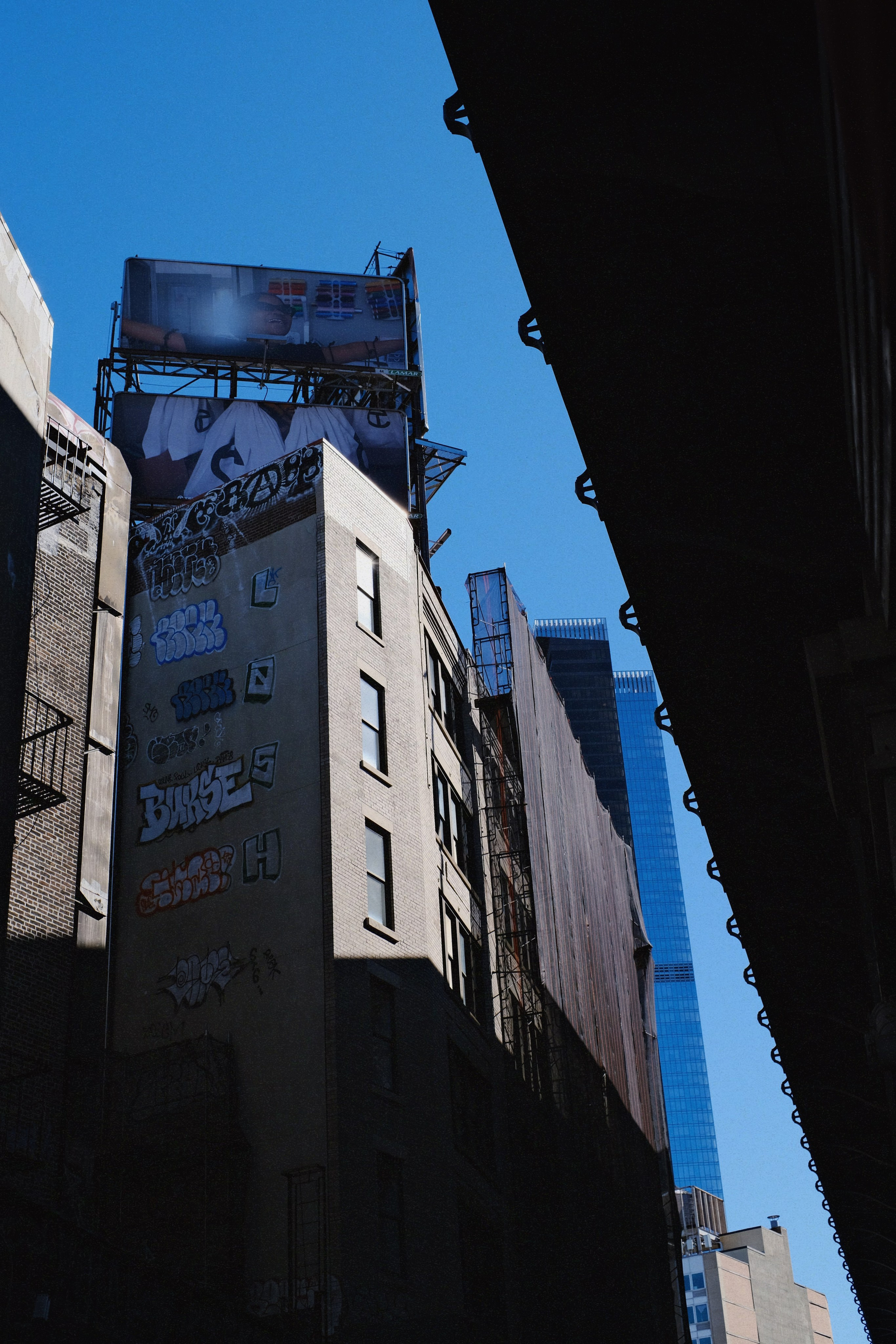 Fabrizio. New York Photographer Sveta Zemskova, NYC Photo