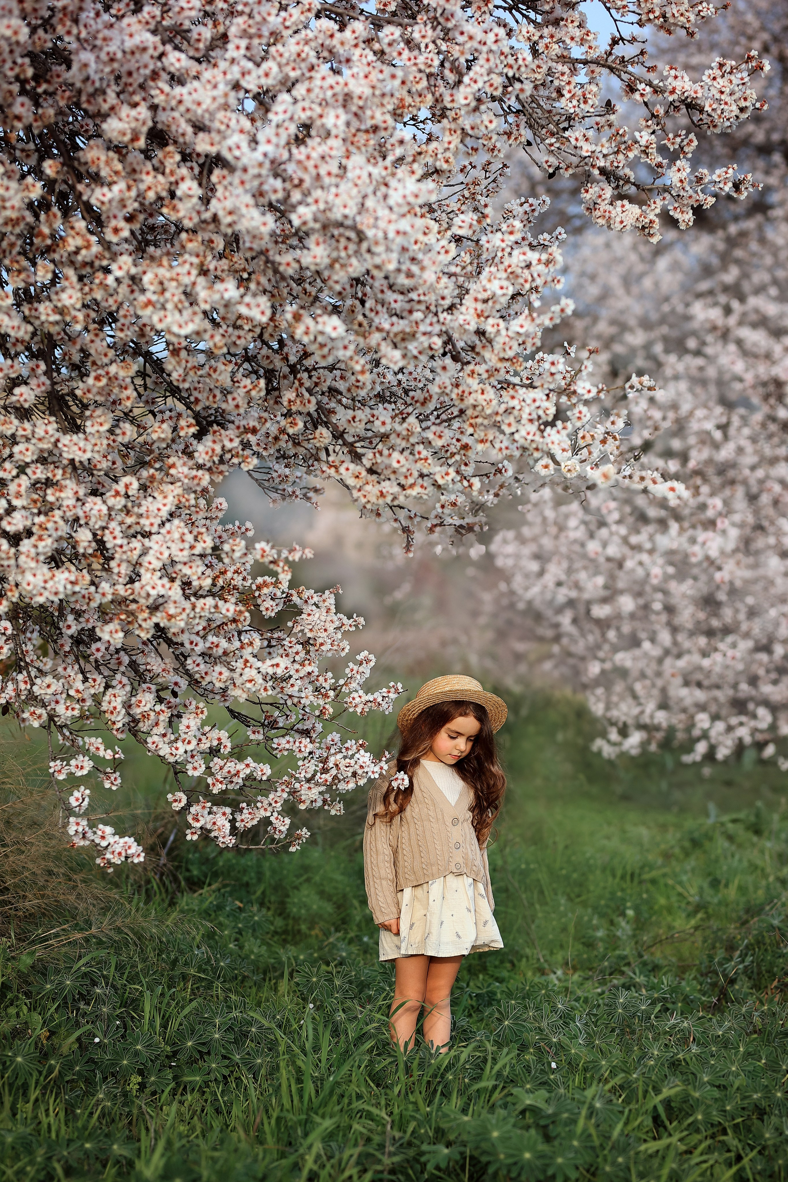 Фотосессия в цветущем миндале. Фотограф в Турции, Анталии, Кемере, Белеке, Сиде, Каше, Калкане, Фетхие