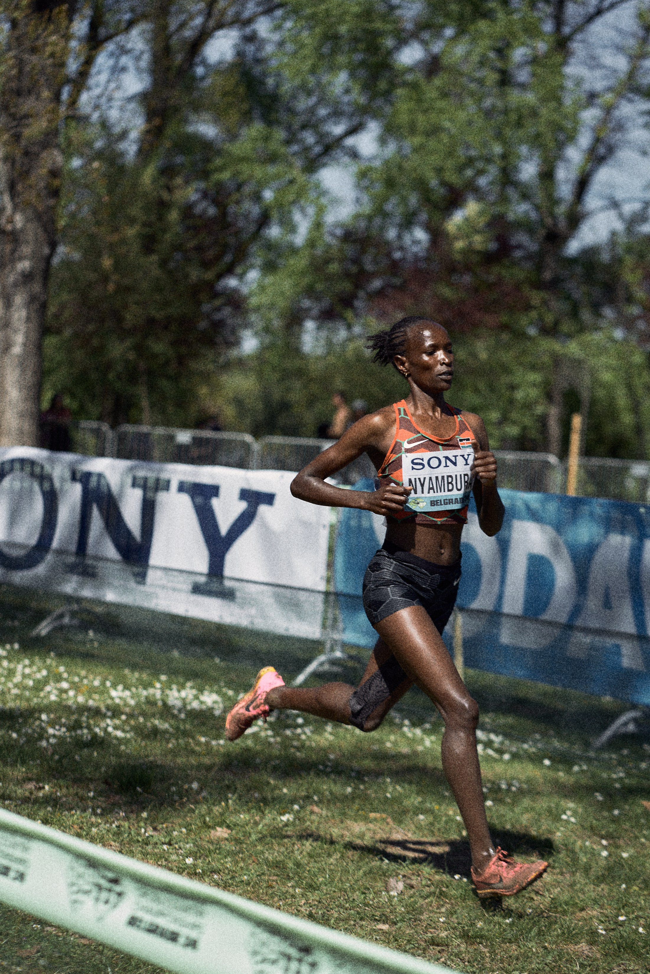 Cross Country Championship 2024 #running. Photographer Evgeniya Dovgalyuk