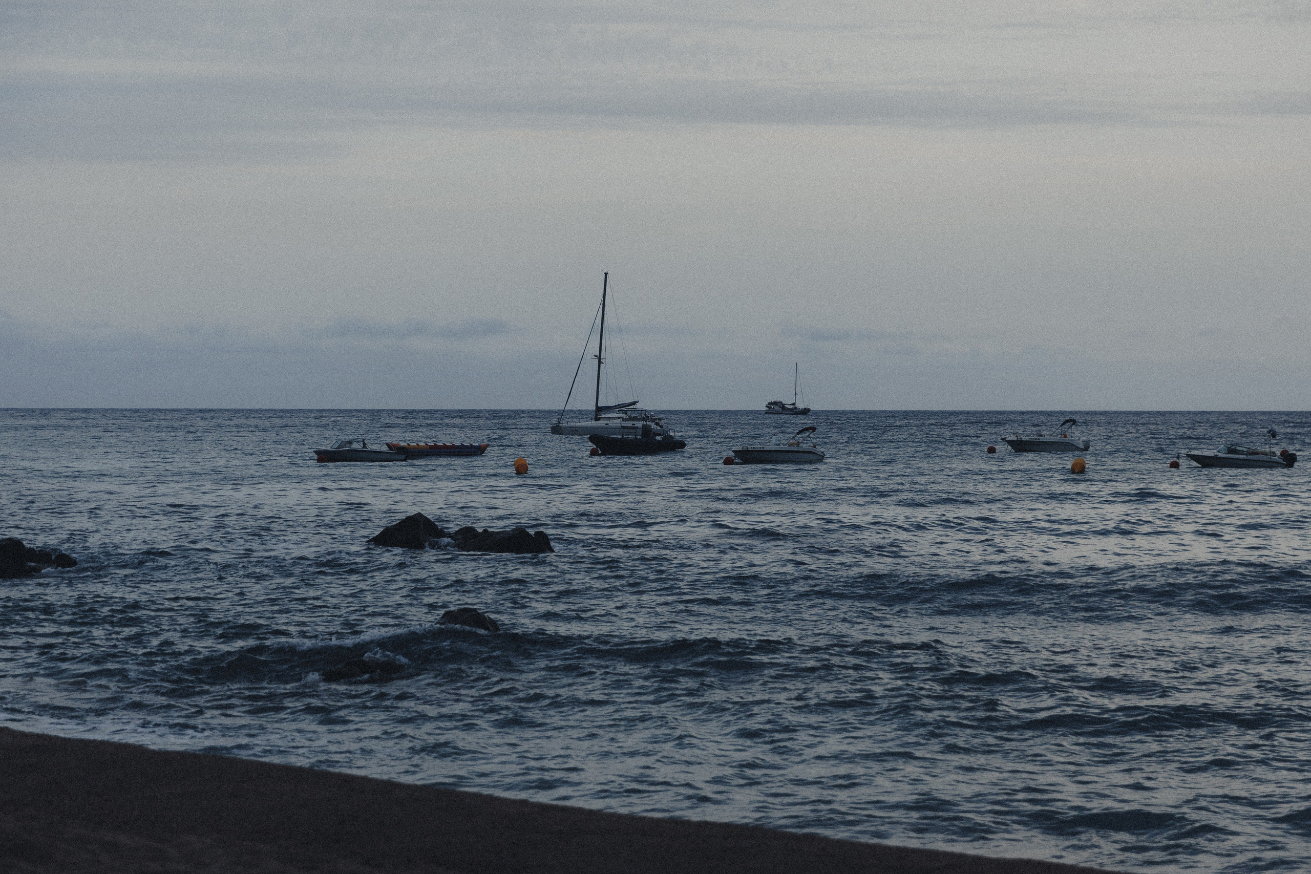 David & Celine. Fotograful evenimentului tău