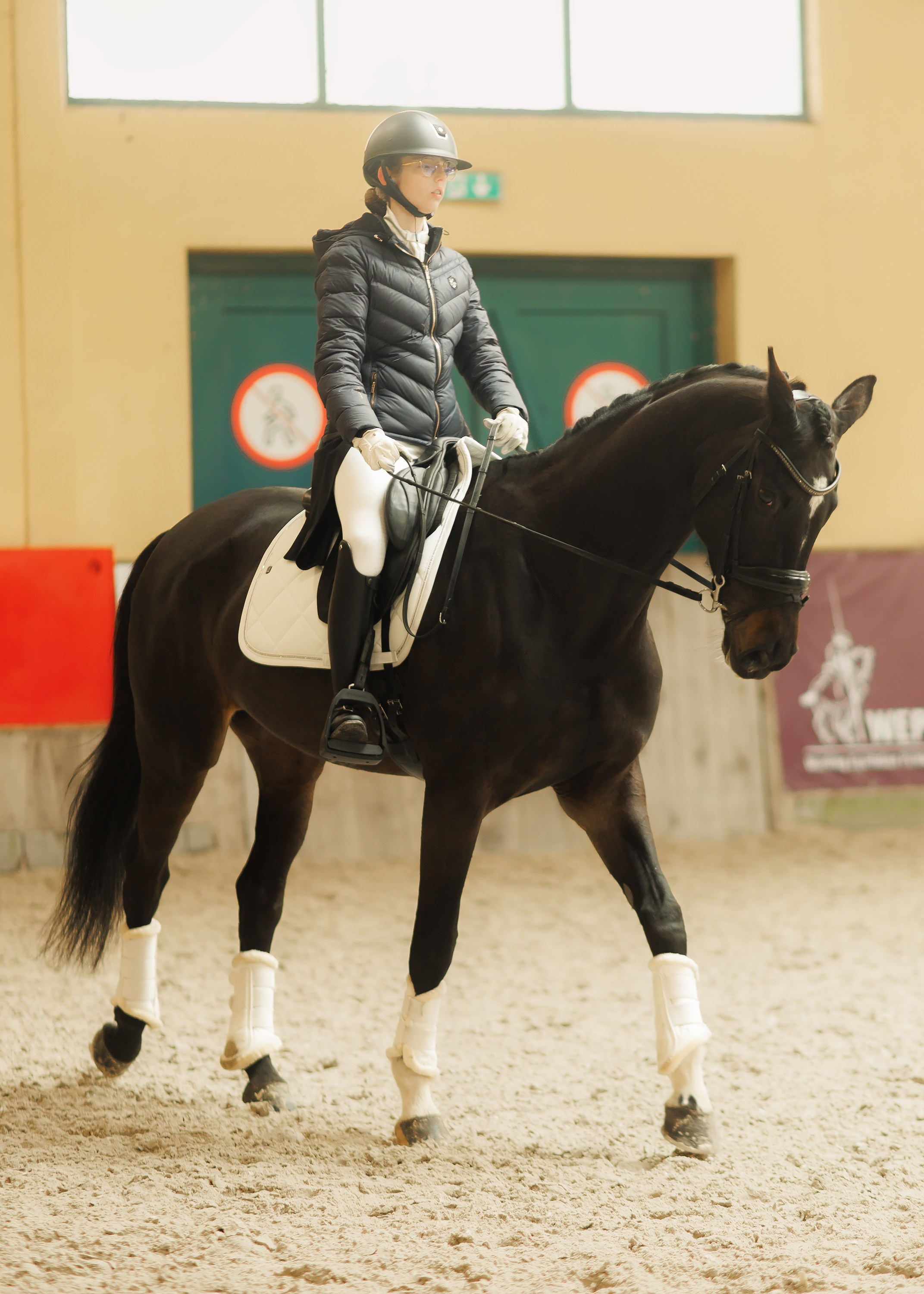 Partynice dressage \ feb'25. Kaja | fotograf we Wrocławiu | ludzie i psy