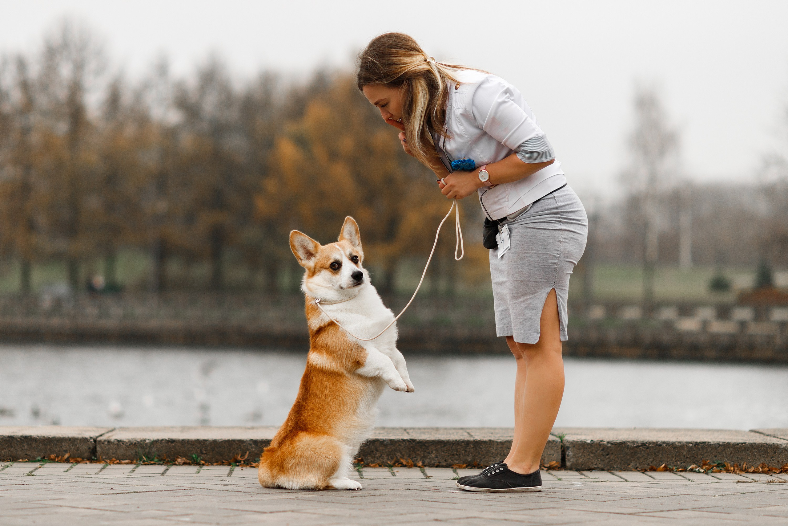 Dog shows | the best ones. Kaja | fotograf psów we Wrocławiu