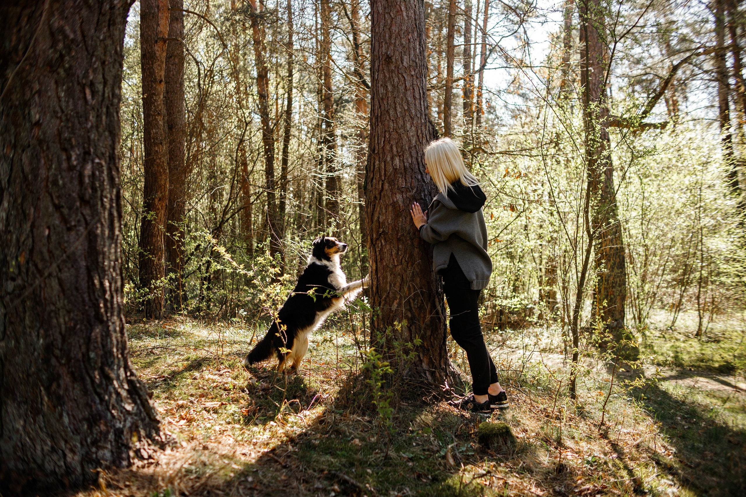 Dog trainer blog content. Kaja | fotograf we Wrocławiu | ludzie i psy