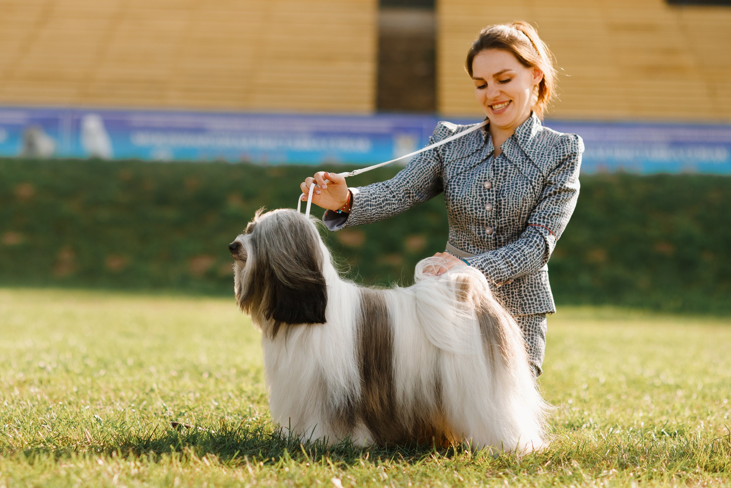 Dog shows | the best ones. Kaja | fotograf psów we Wrocławiu