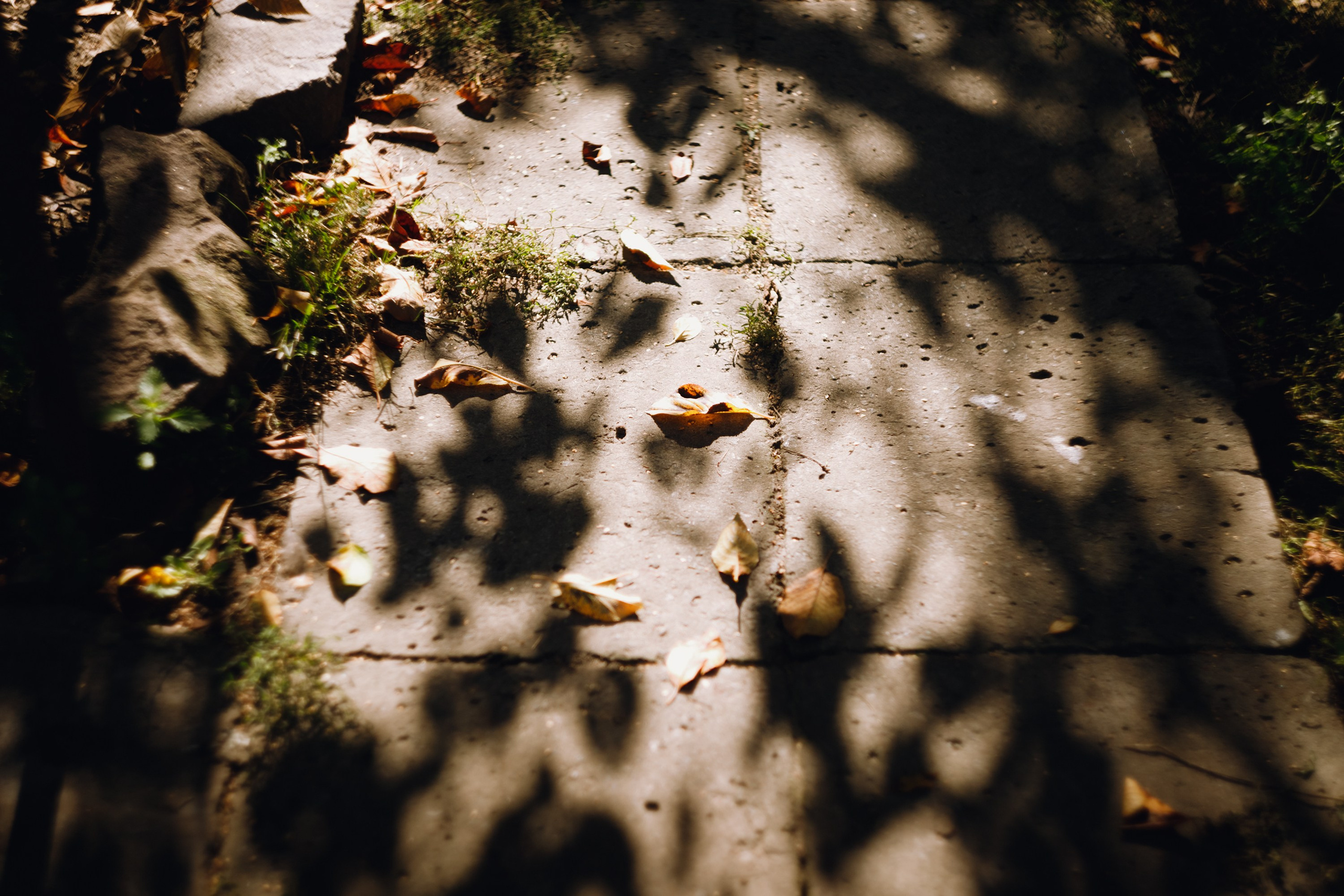 Grandmother's home in Brest. Kaja | fotograf we Wrocławiu | ludzie i psy