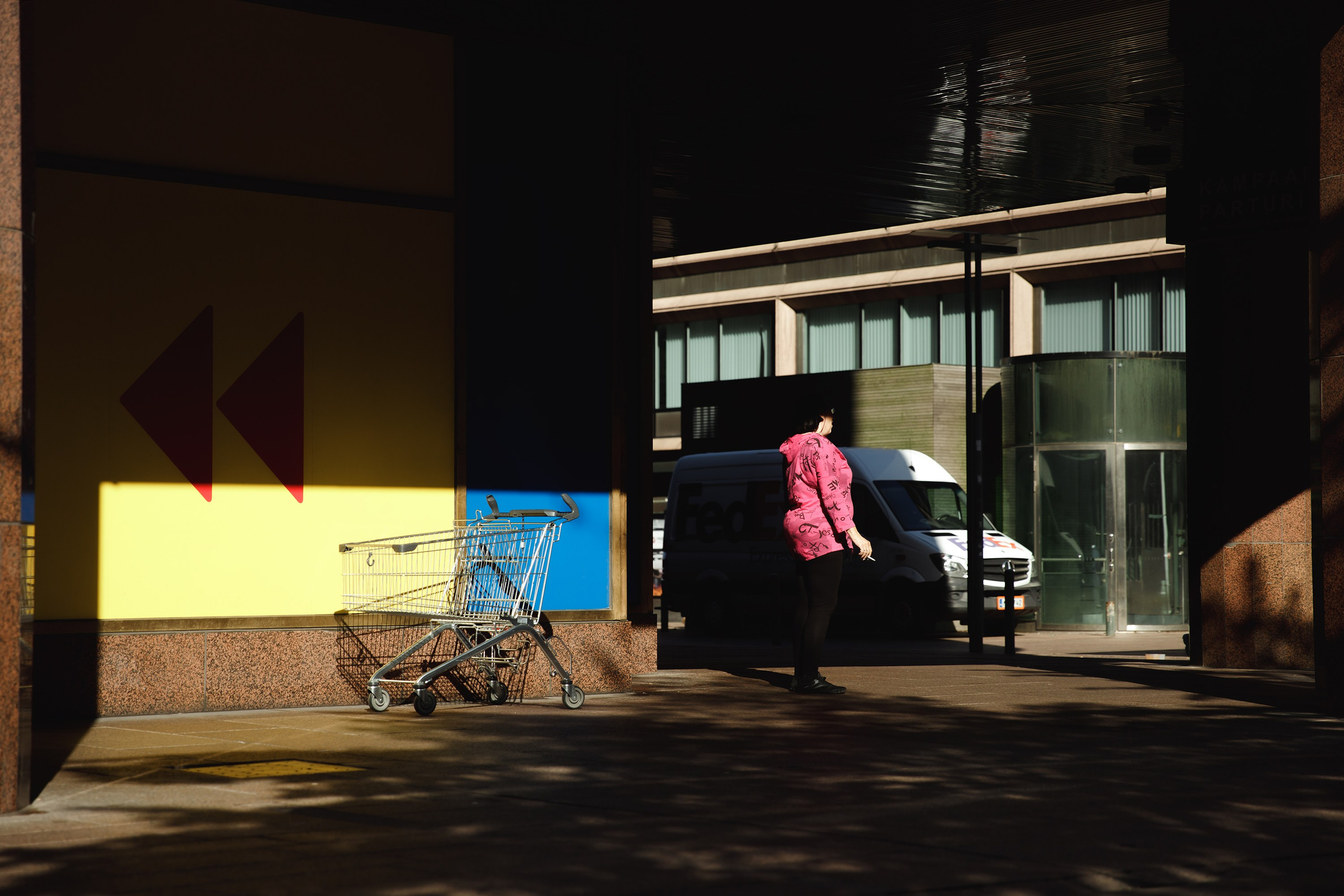 Helsinki. Kaja | fotograf psów we Wrocławiu