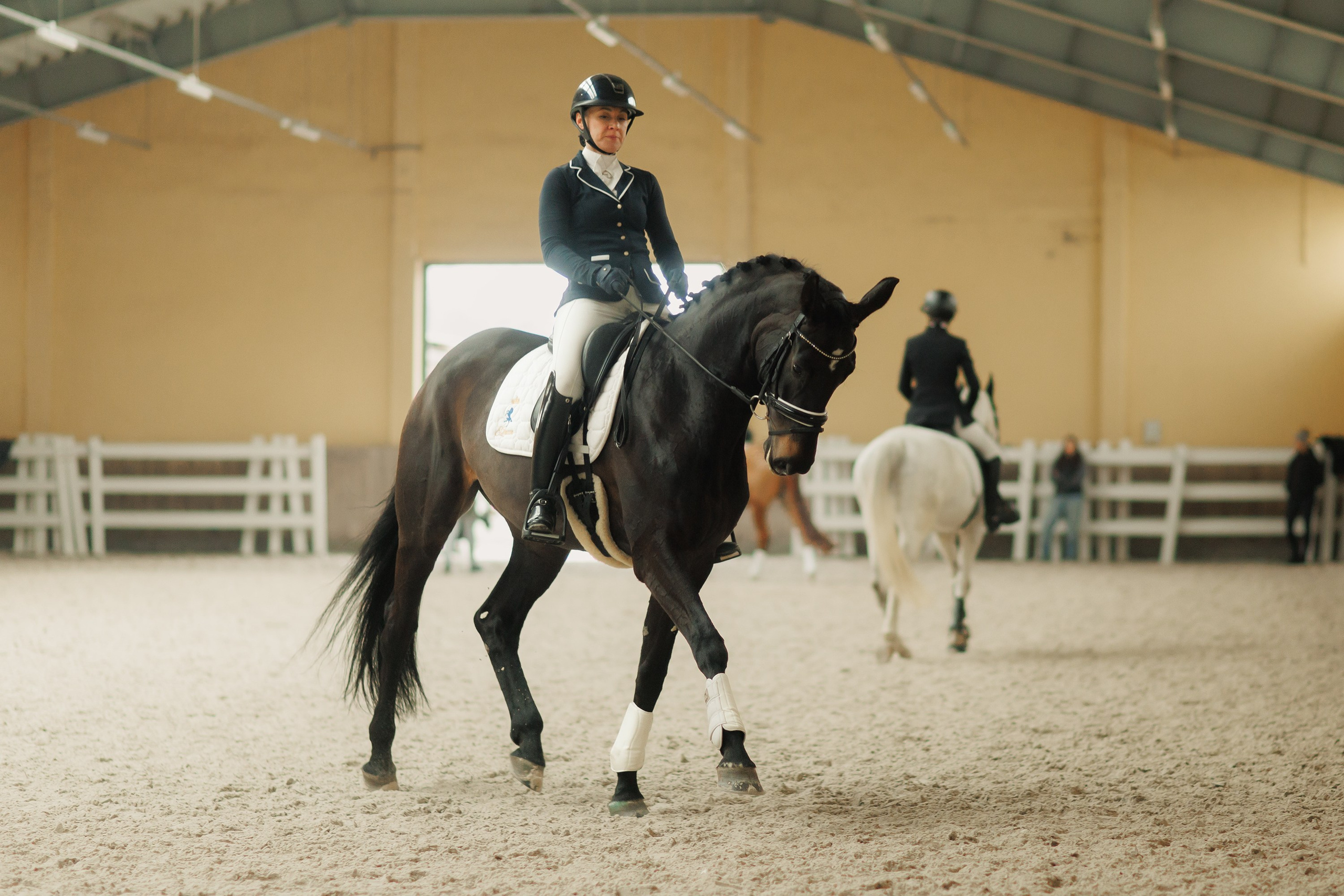 Partynice dressage \ feb'25. Kaja | fotograf we Wrocławiu | ludzie i psy