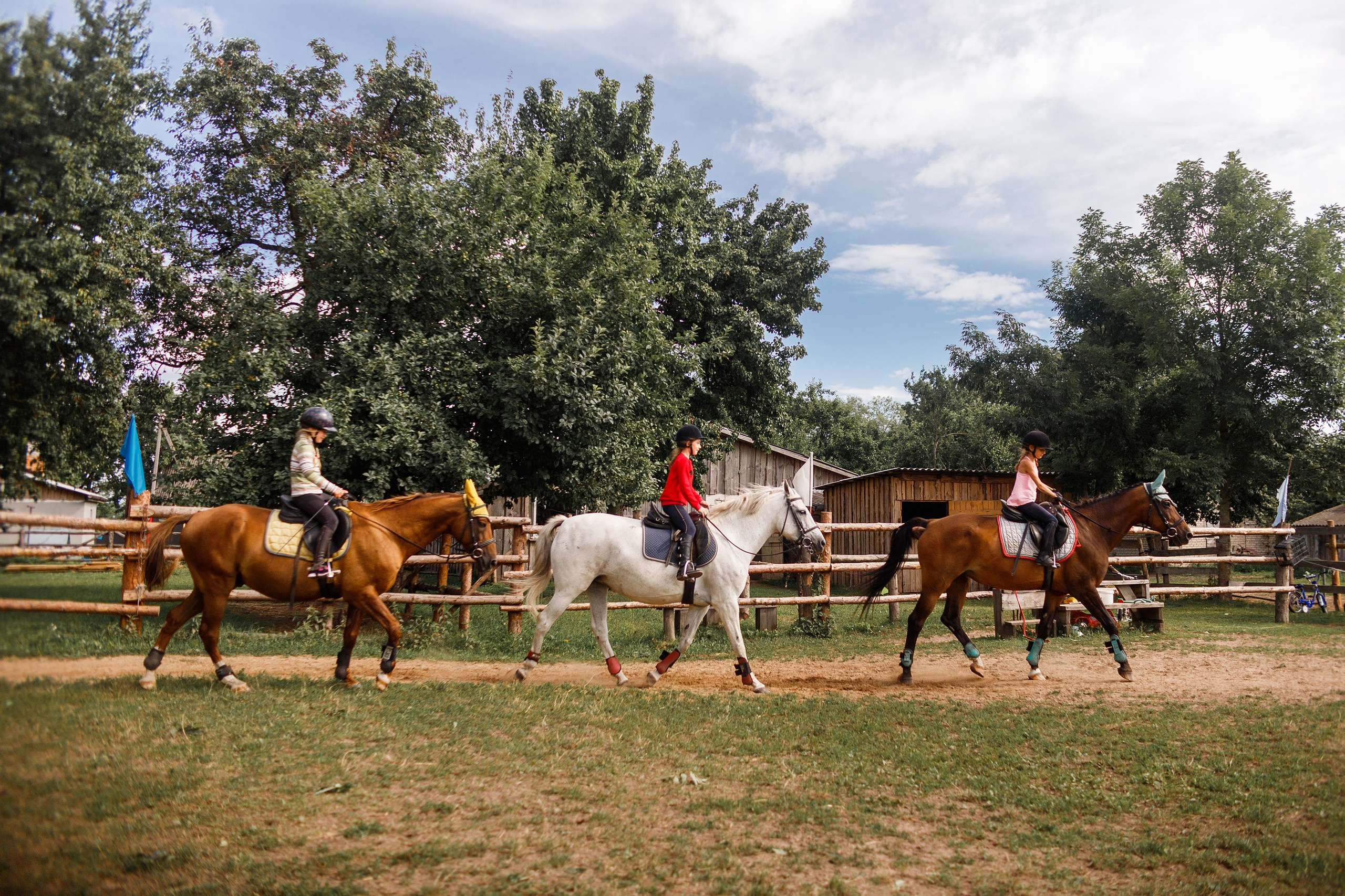 Girls & horses, summer. Kaja | fotograf psów we Wrocławiu