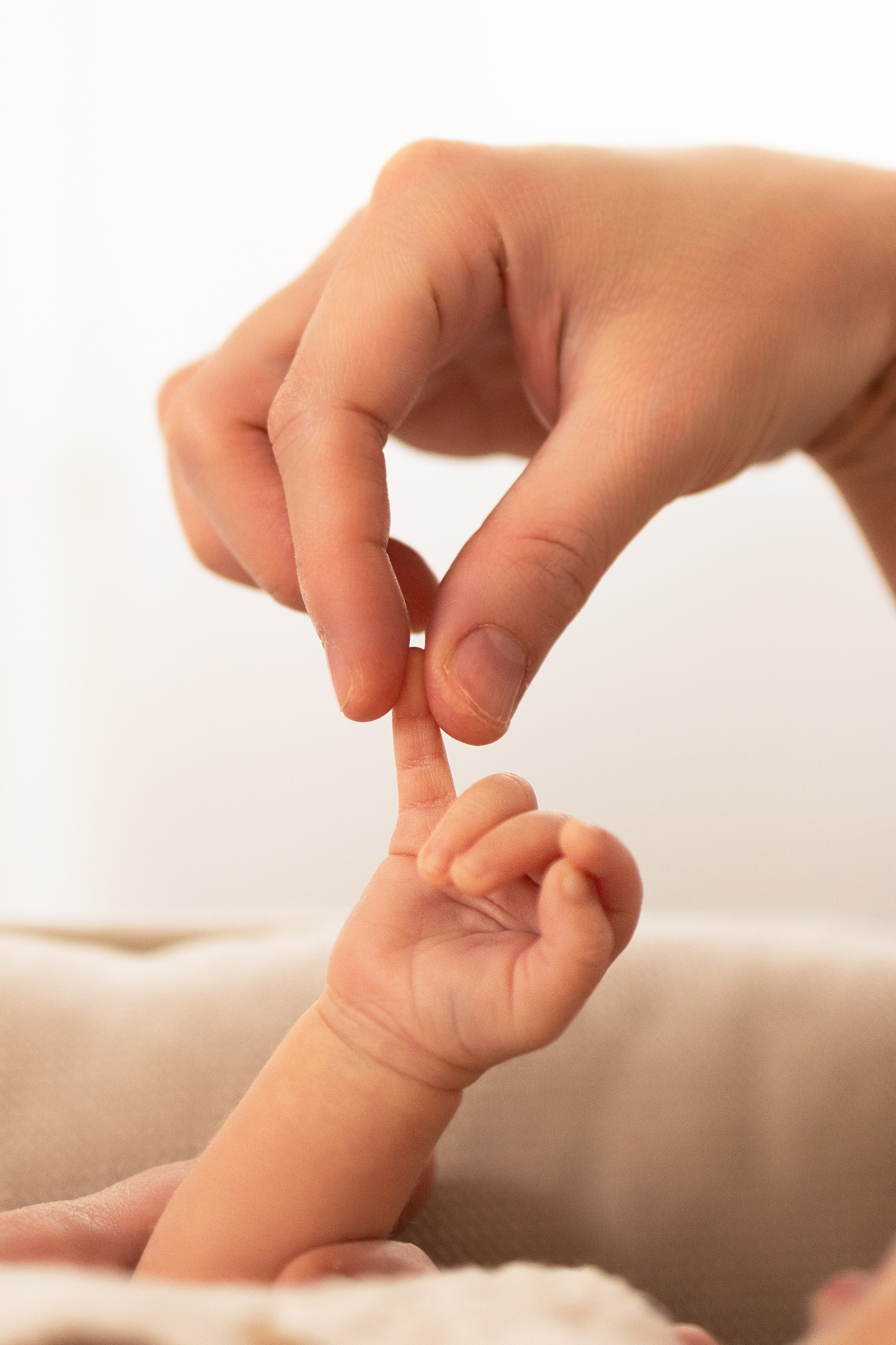 Newborn. Family & Maternity Photographer in Dresden Tatiana Mudryak