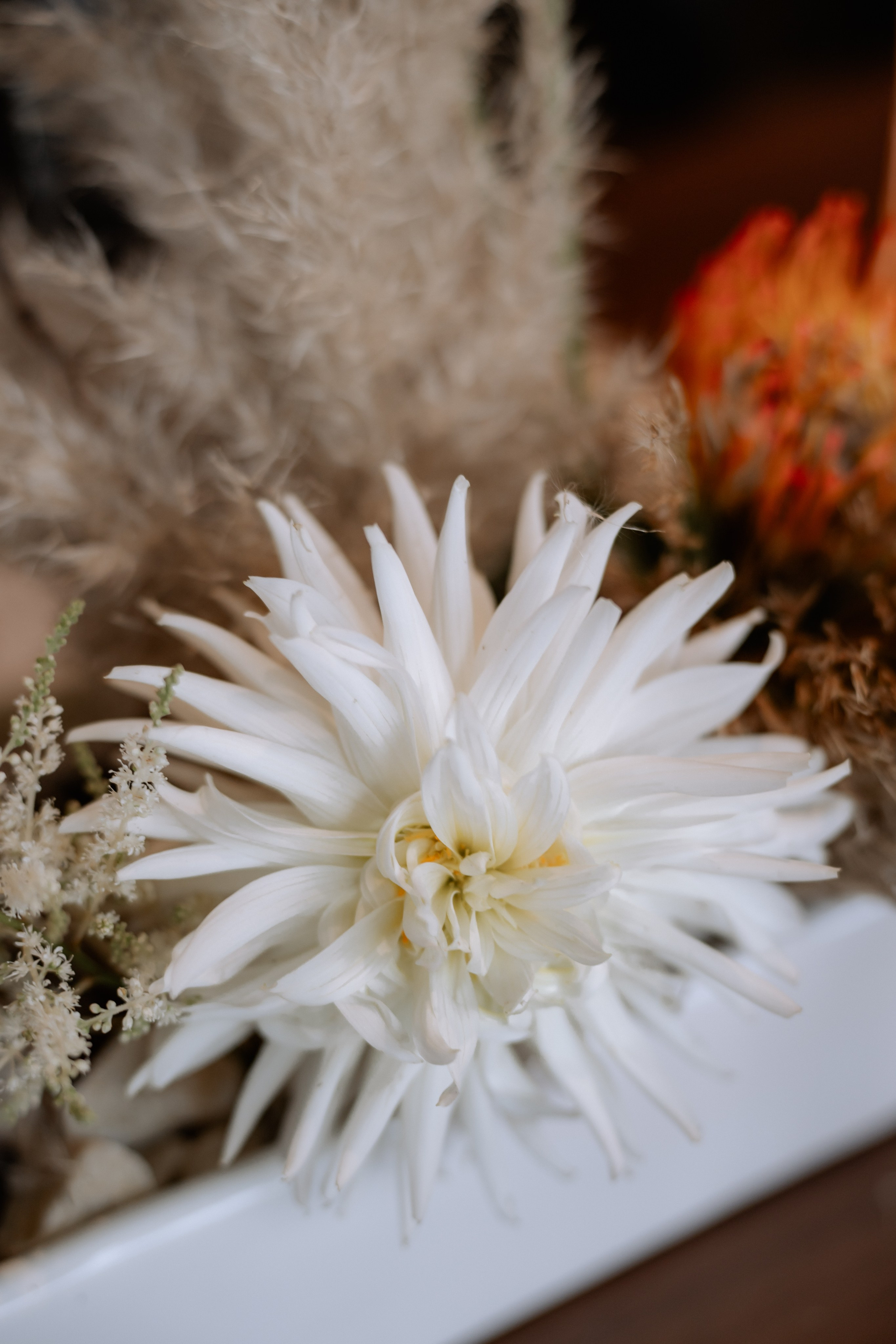 Bianca + Andrei | Civil Wedding. Proud Vision Weddings | Wedding Photography & Film — Servicii profesionale Foto Video Nunta Iasi