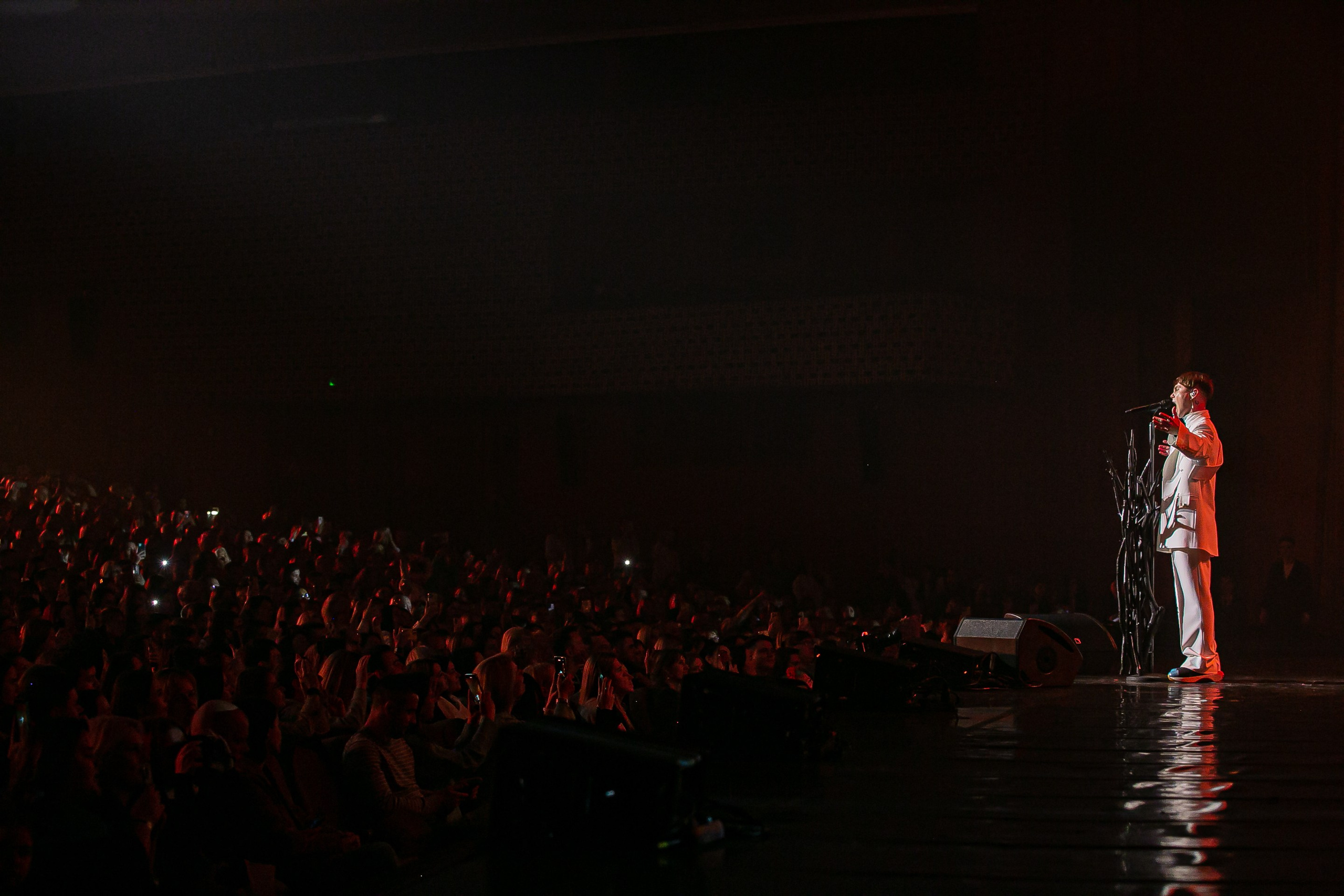 Pivovarov. Репортажний фотограф/анімаліст КИЇВ