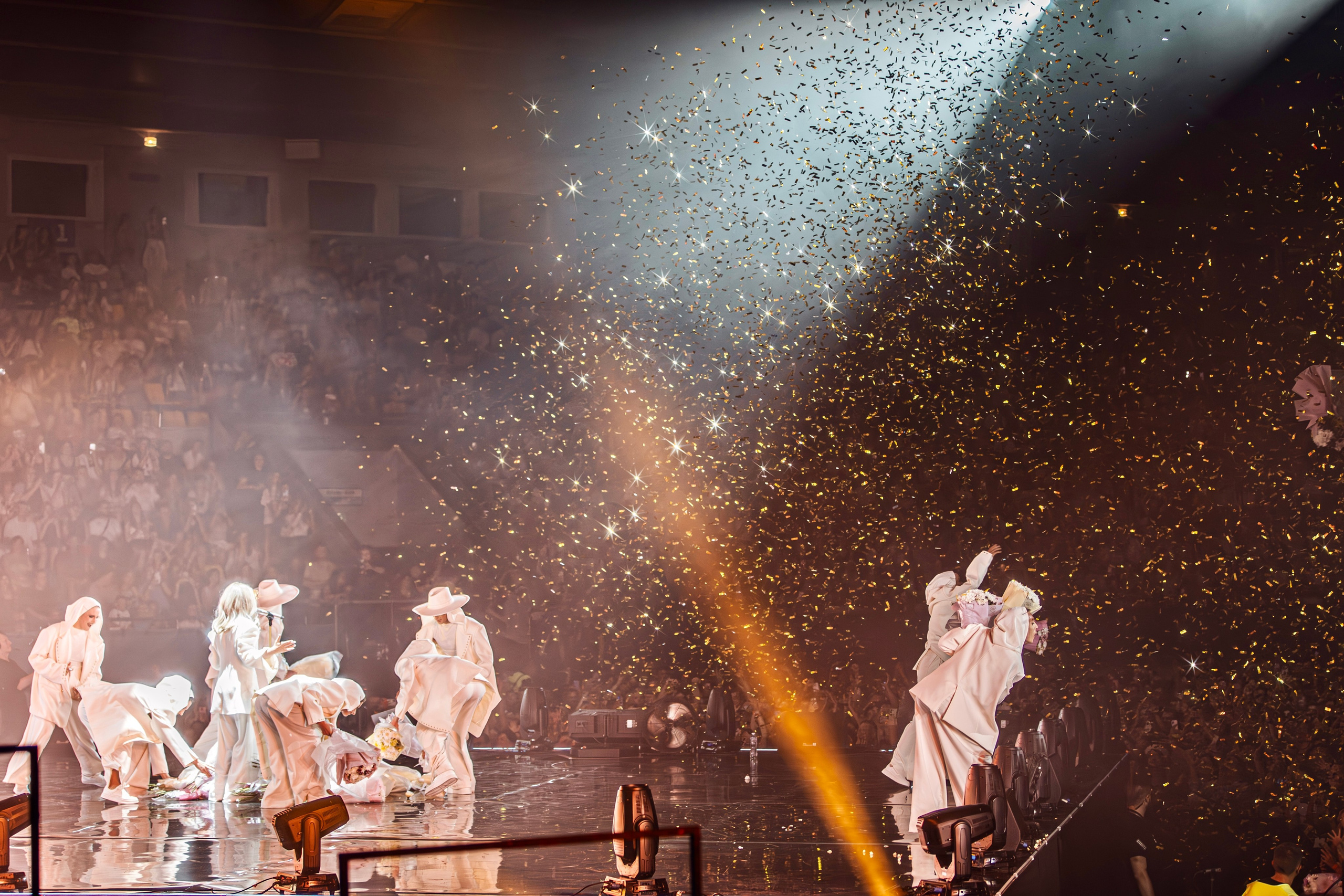 Klavdia Petrivna. Репортажний фотограф/анімаліст КИЇВ