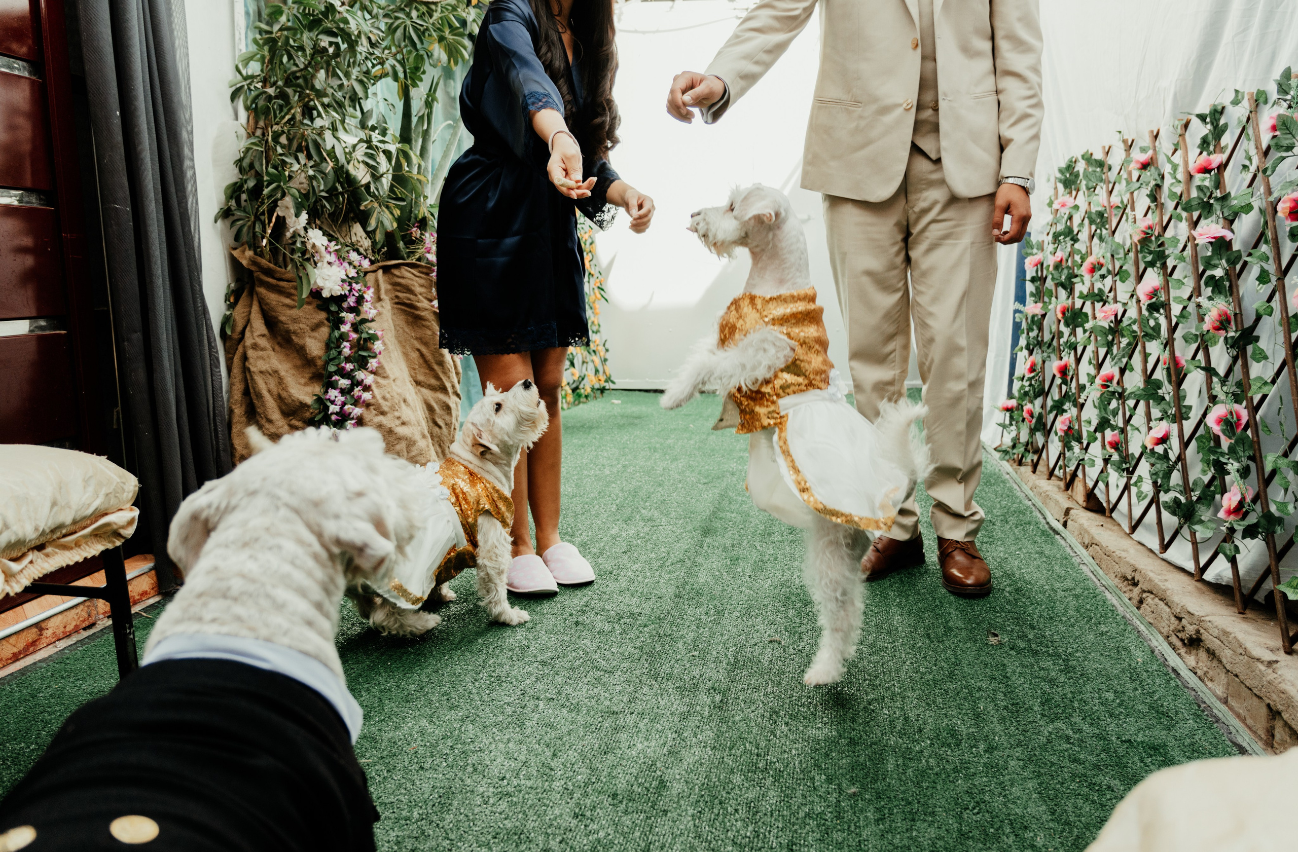 ANGIE + MANUEL BODA RELIGIOSA. Studio KVTA | Fotografía y Video de Bodas en Arequipa