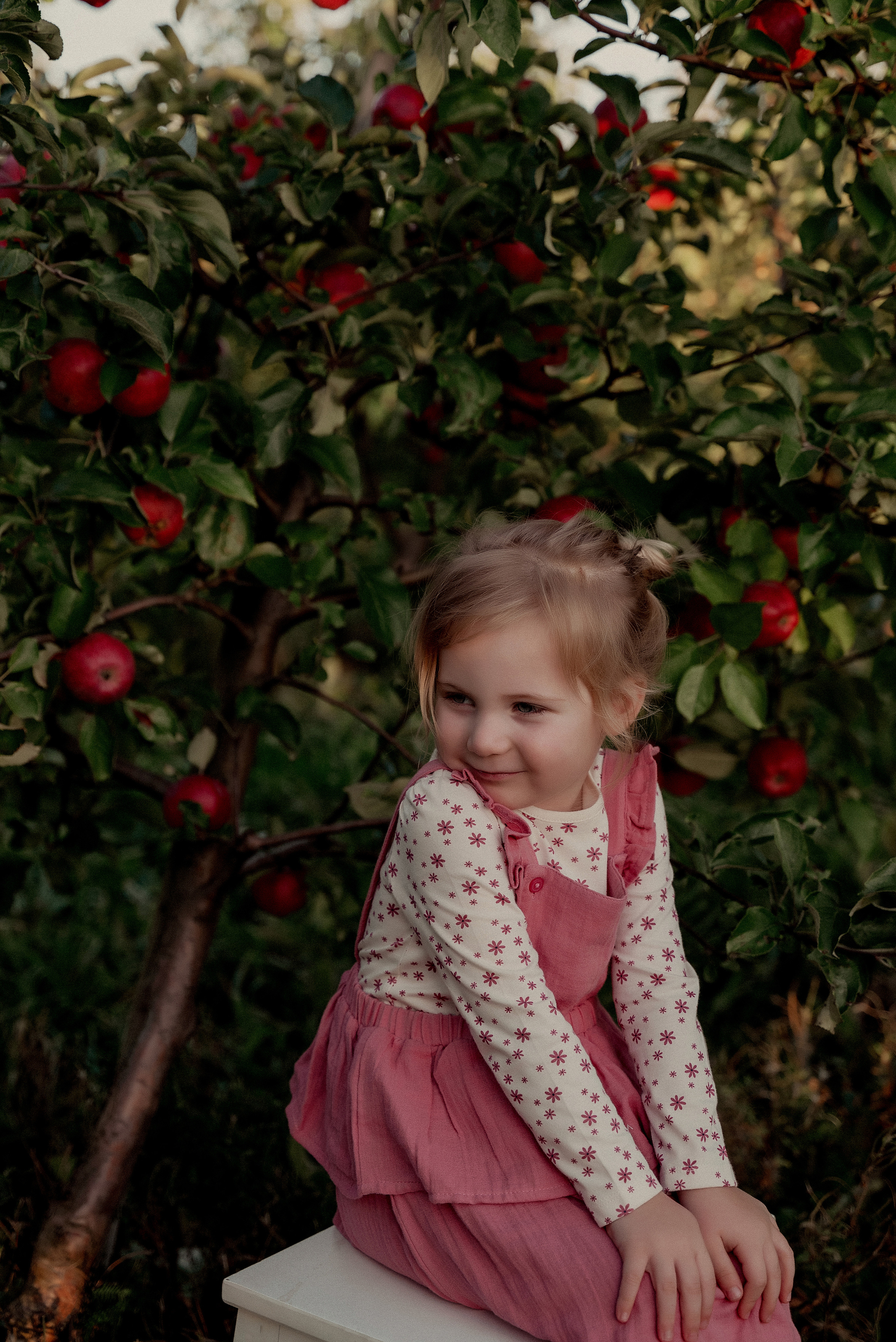 Яблочное настроение. Ваш фотограф в Латгалии — Александра Юхневича!