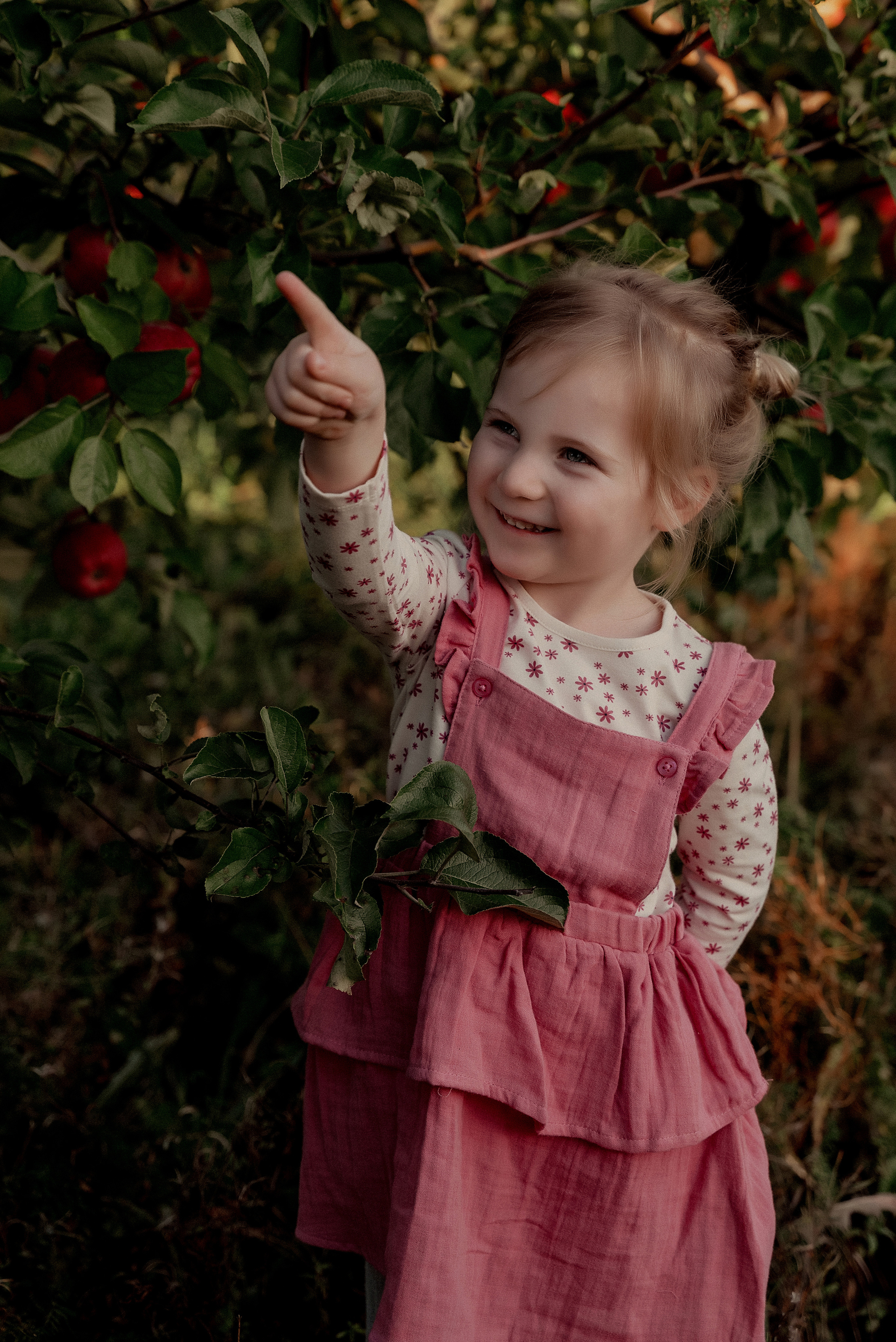 Яблочное настроение. Ваш фотограф в Латгалии — Александра Юхневича!
