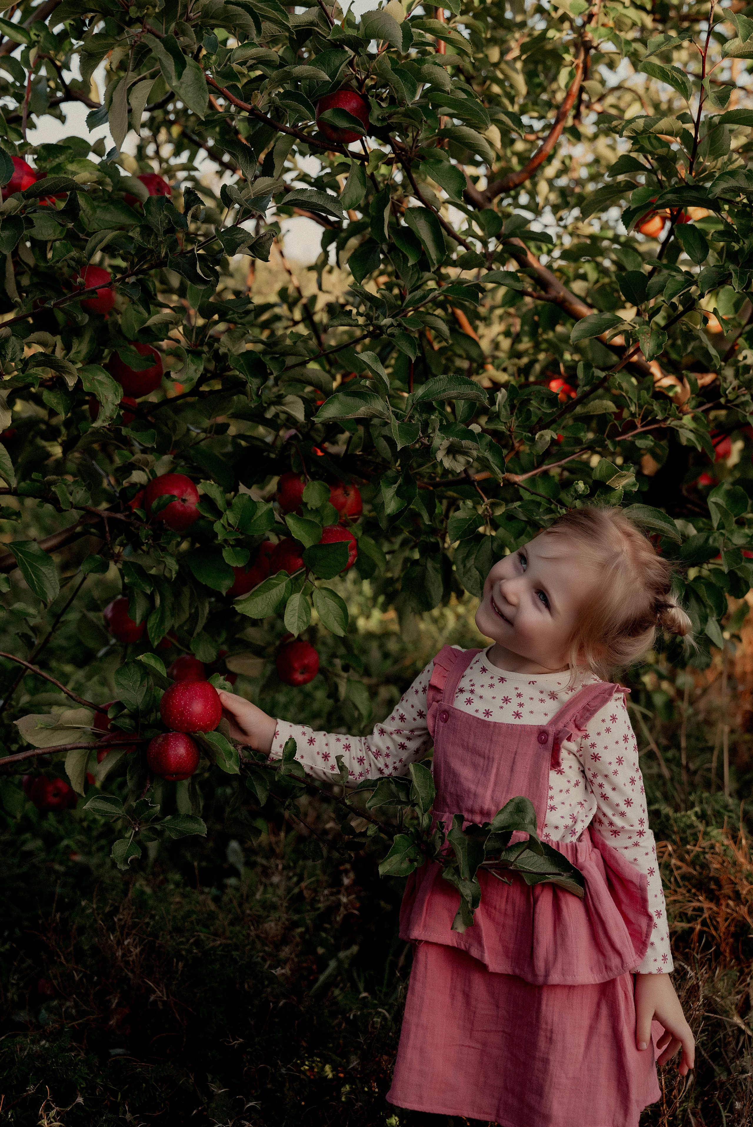 Яблочное настроение. Ваш фотограф в Латгалии — Александра Юхневича!