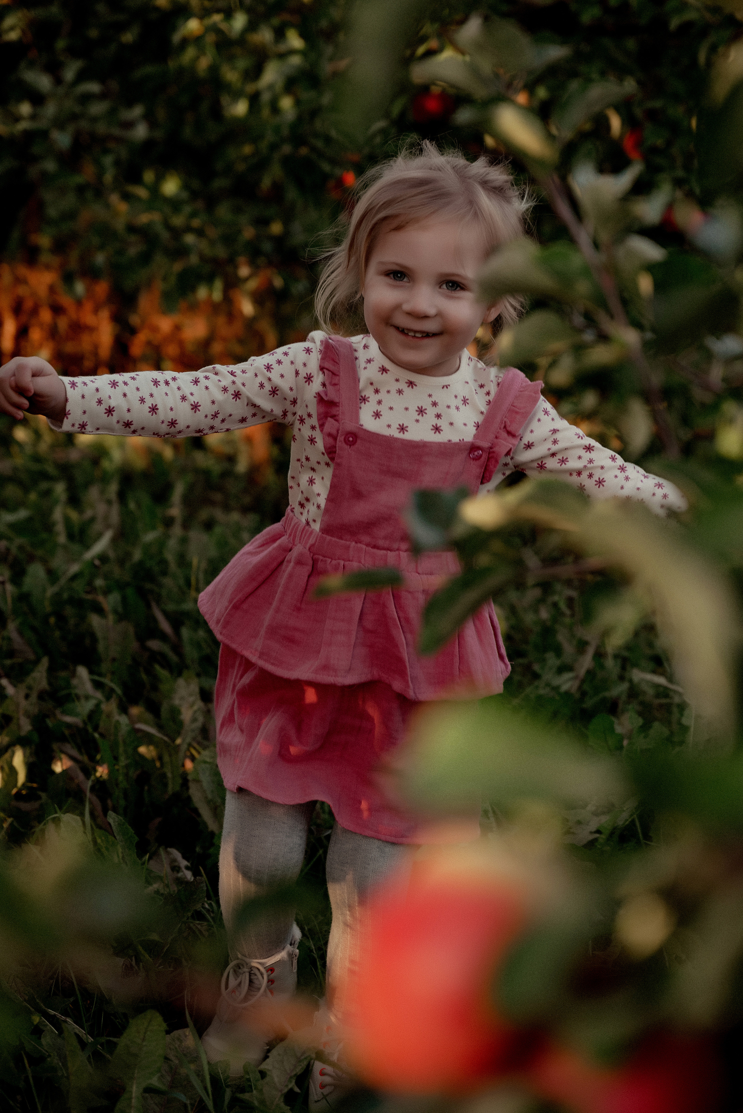 Яблочное настроение. Ваш фотограф в Латгалии — Александра Юхневича!