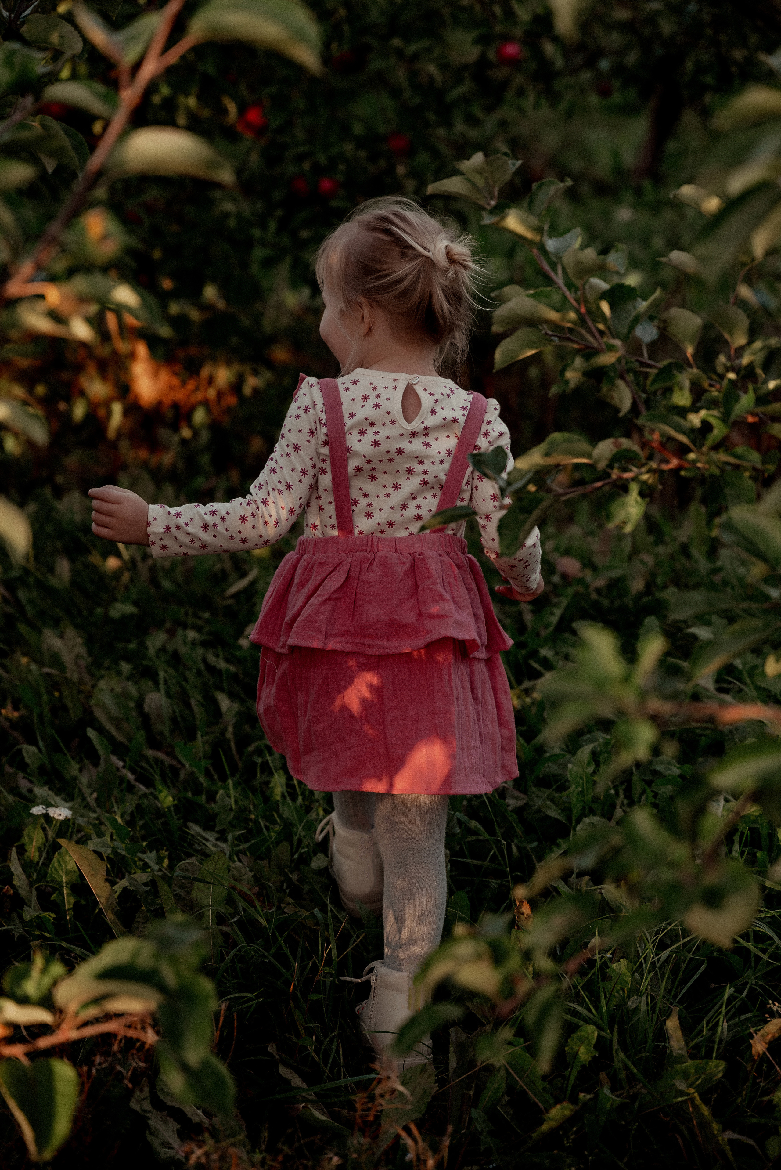 Яблочное настроение. Ваш фотограф в Латгалии — Александра Юхневича!