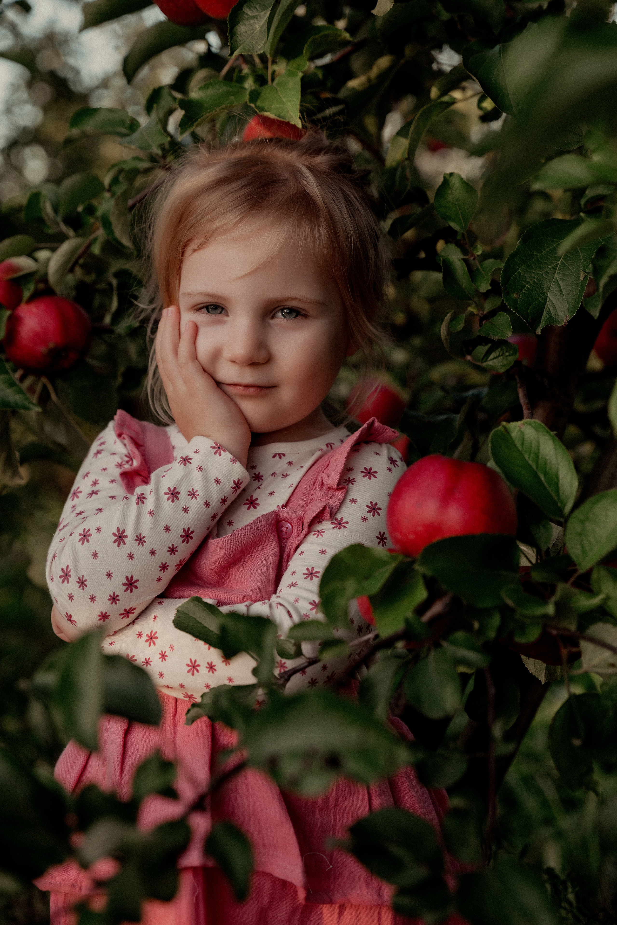Яблочное настроение. Ваш фотограф в Латгалии — Александра Юхневича!
