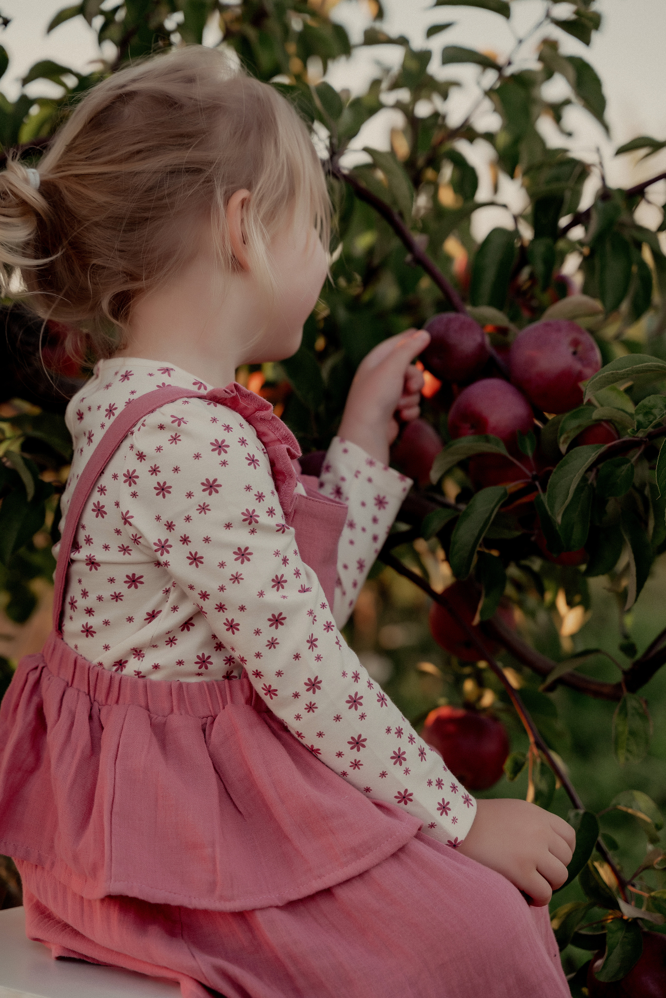 Яблочное настроение. Ваш фотограф в Латгалии — Александра Юхневича!