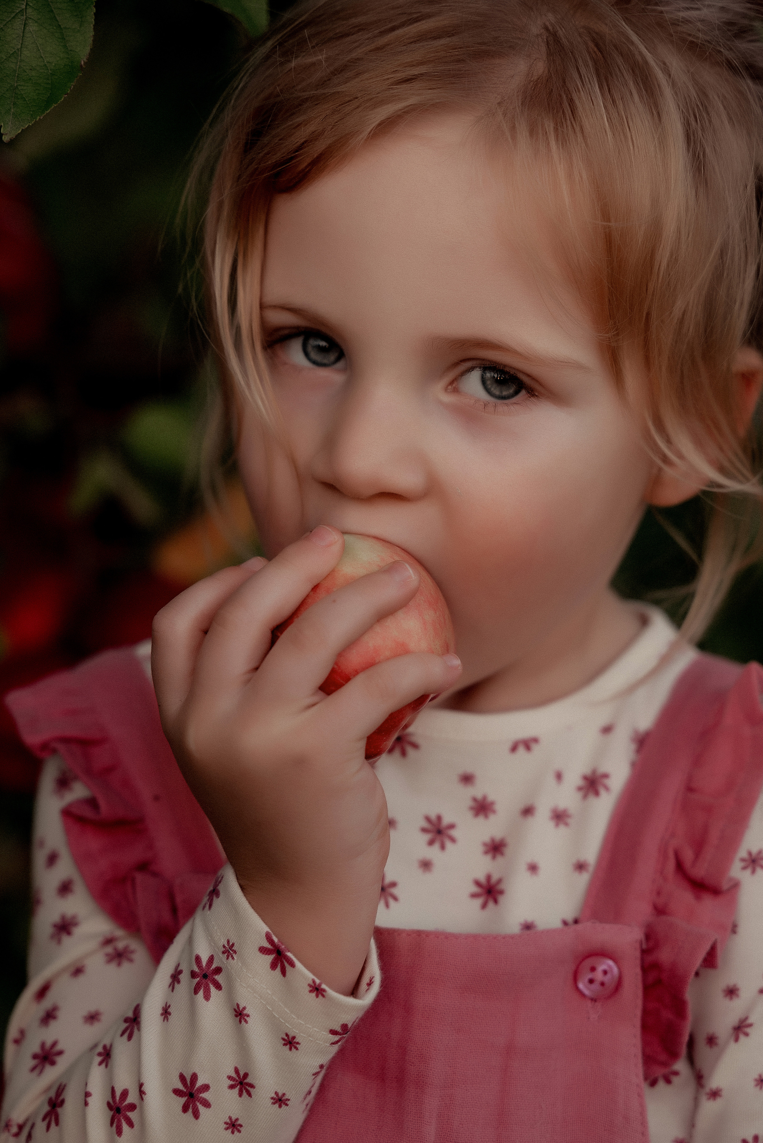 Яблочное настроение. Ваш фотограф в Латгалии — Александра Юхневича!