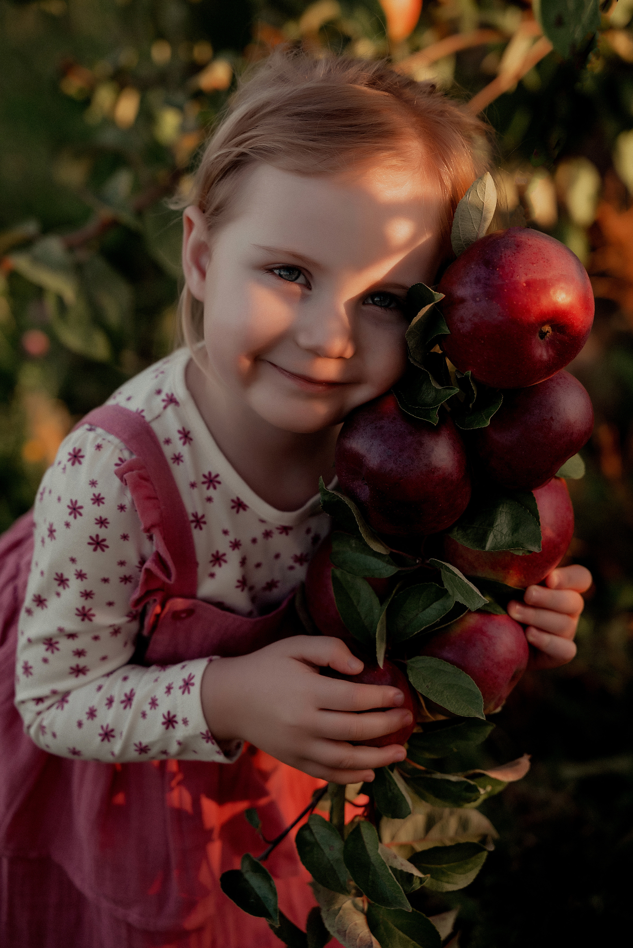 Яблочное настроение. Ваш фотограф в Латгалии — Александра Юхневича!