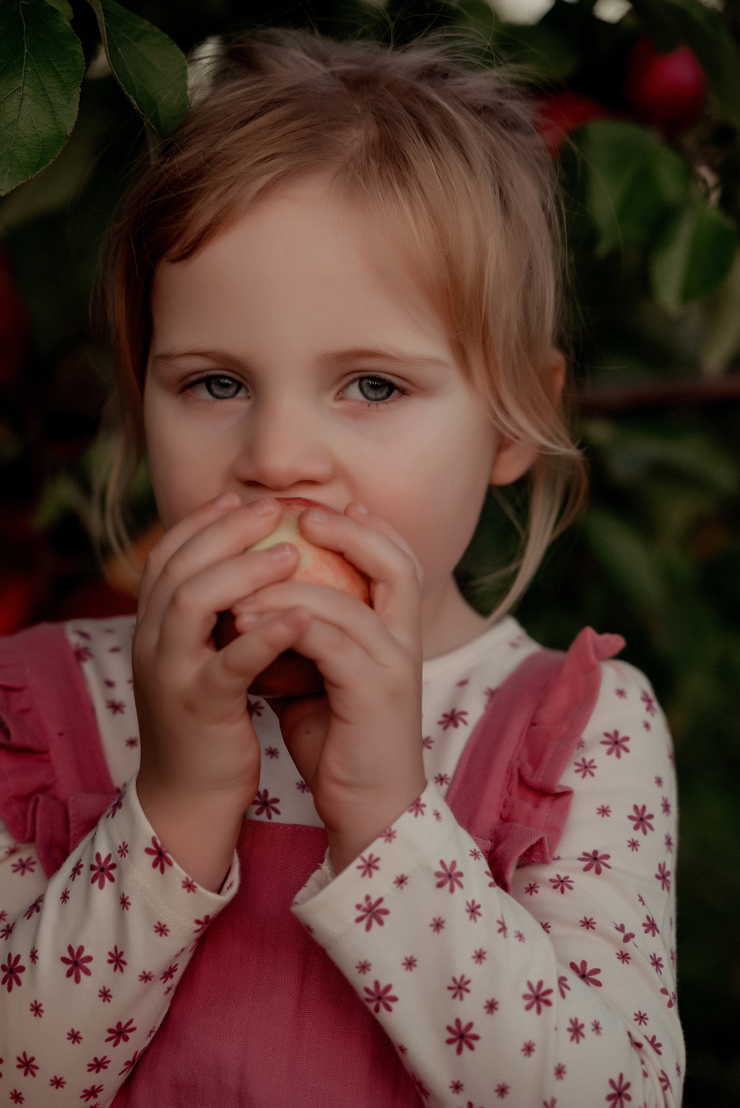 Яблочное настроение. Ваш фотограф в Латгалии — Александра Юхневича!